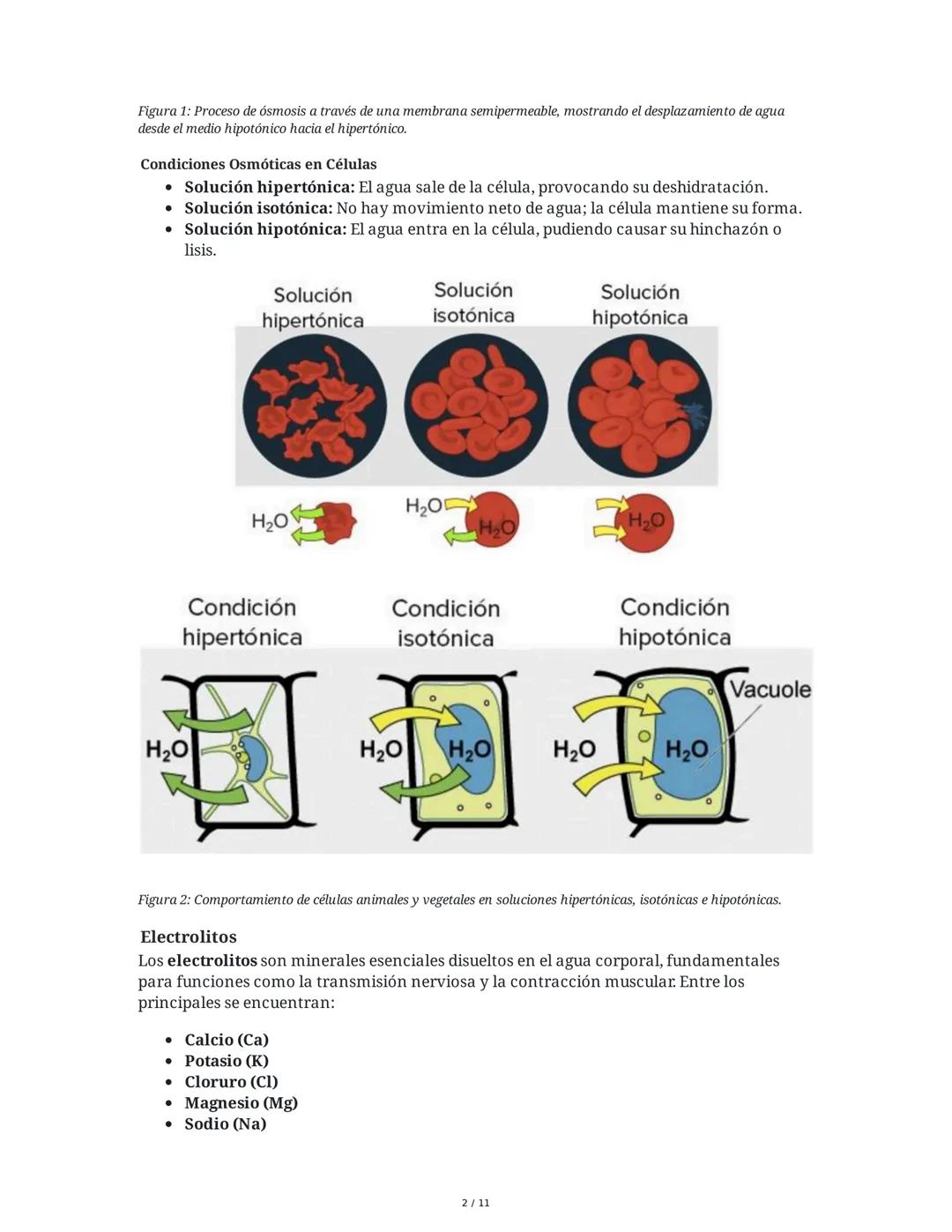 Introducción a la Bioquímica - Resumen Semana 6
1. Presentación y Propósito de la Sesión
La sesión de la semana 6 en la Universidad Autónoma