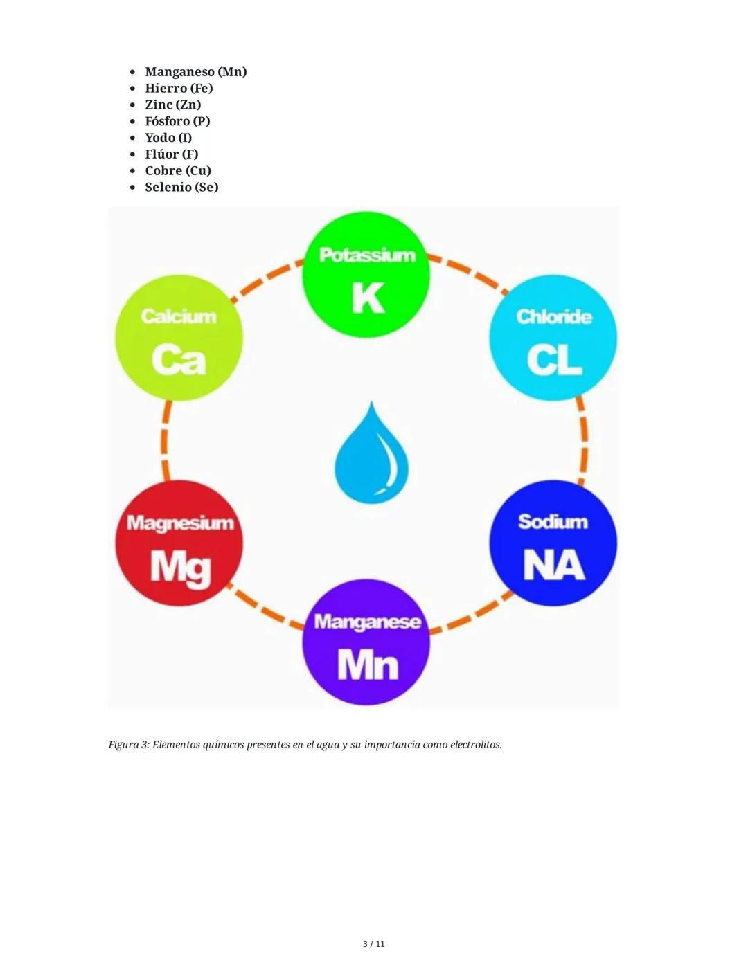 Introducción a la Bioquímica - Resumen Semana 6
1. Presentación y Propósito de la Sesión
La sesión de la semana 6 en la Universidad Autónoma