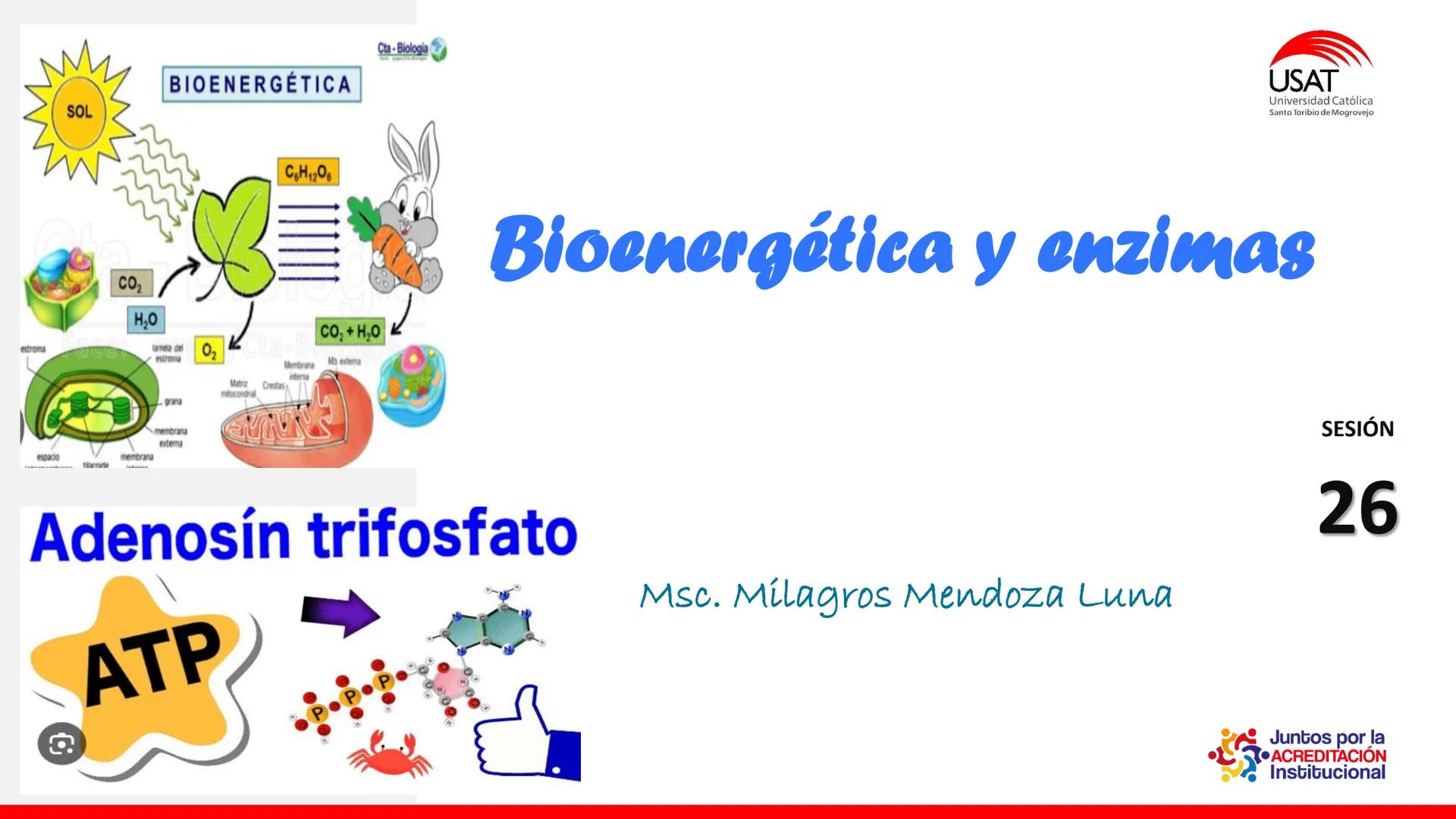 ## estroma
## Cta-Biologia
## BIOENERGÉTICA
## SOL
## espacio
## tilarnide
## CO2
## H₂O
## membrana
## tamela del
## estroma
## C6H12O6
## 