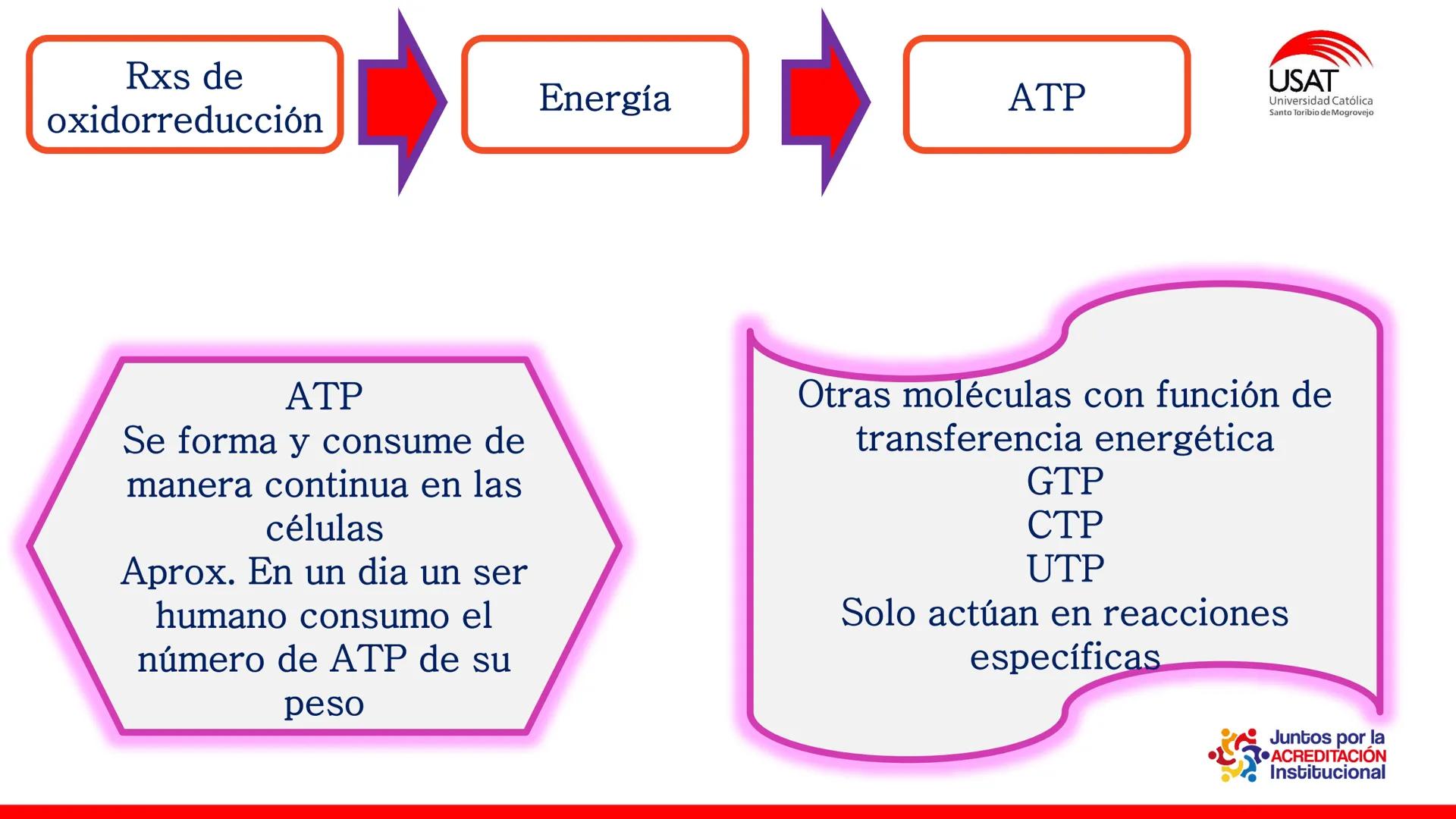 ## estroma
## Cta-Biologia
## BIOENERGÉTICA
## SOL
## espacio
## tilarnide
## CO2
## H₂O
## membrana
## tamela del
## estroma
## C6H12O6
## 