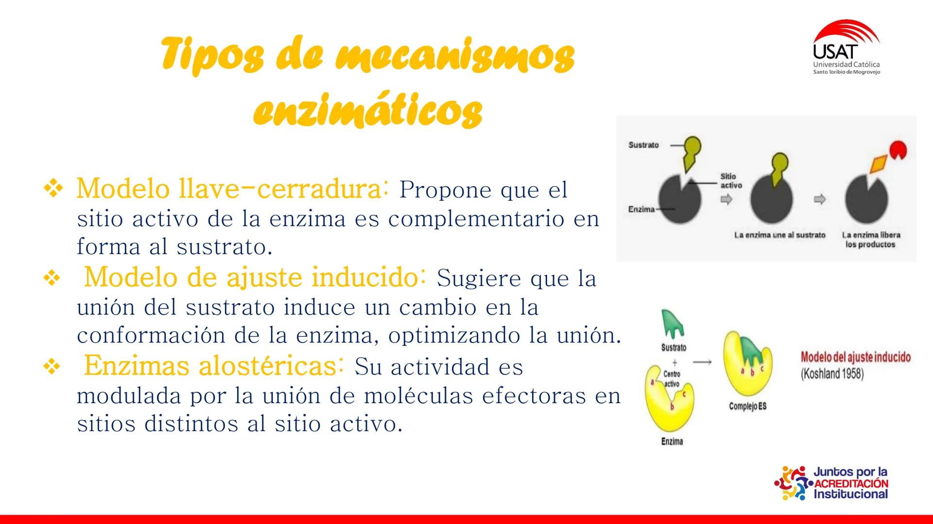 ## estroma
## Cta-Biologia
## BIOENERGÉTICA
## SOL
## espacio
## tilarnide
## CO2
## H₂O
## membrana
## tamela del
## estroma
## C6H12O6
## 