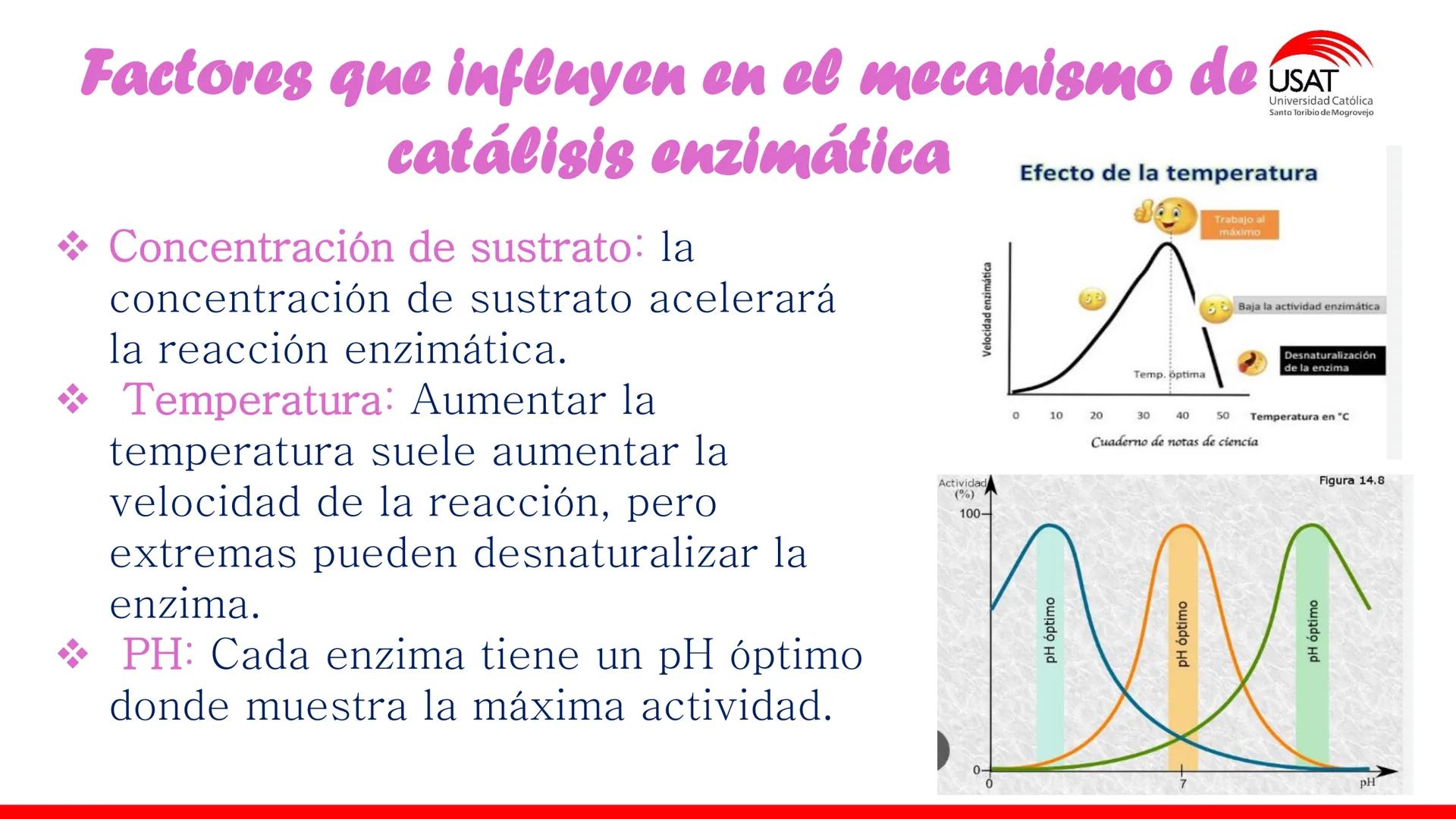 ## estroma
## Cta-Biologia
## BIOENERGÉTICA
## SOL
## espacio
## tilarnide
## CO2
## H₂O
## membrana
## tamela del
## estroma
## C6H12O6
## 