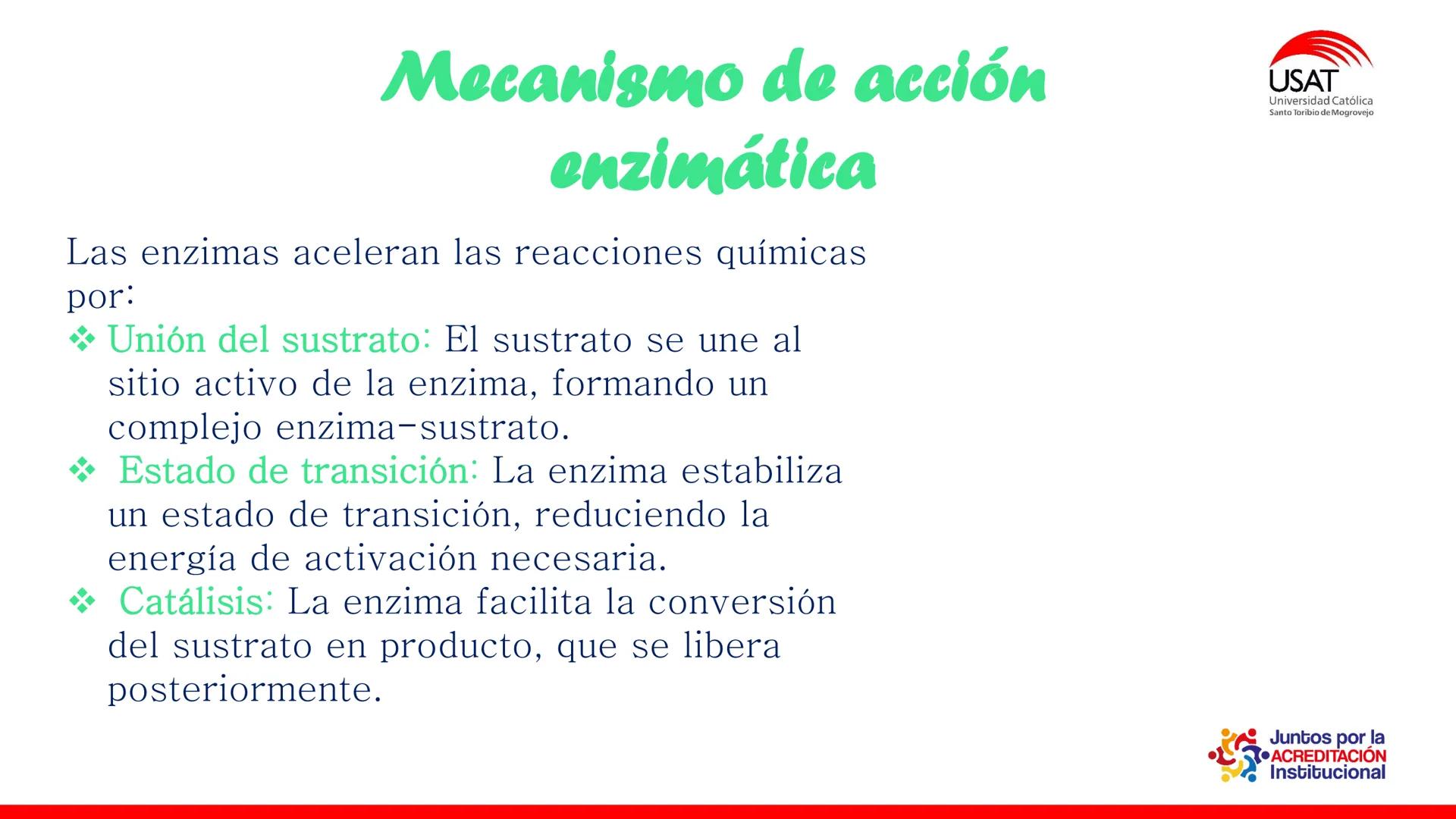 ## estroma
## Cta-Biologia
## BIOENERGÉTICA
## SOL
## espacio
## tilarnide
## CO2
## H₂O
## membrana
## tamela del
## estroma
## C6H12O6
## 