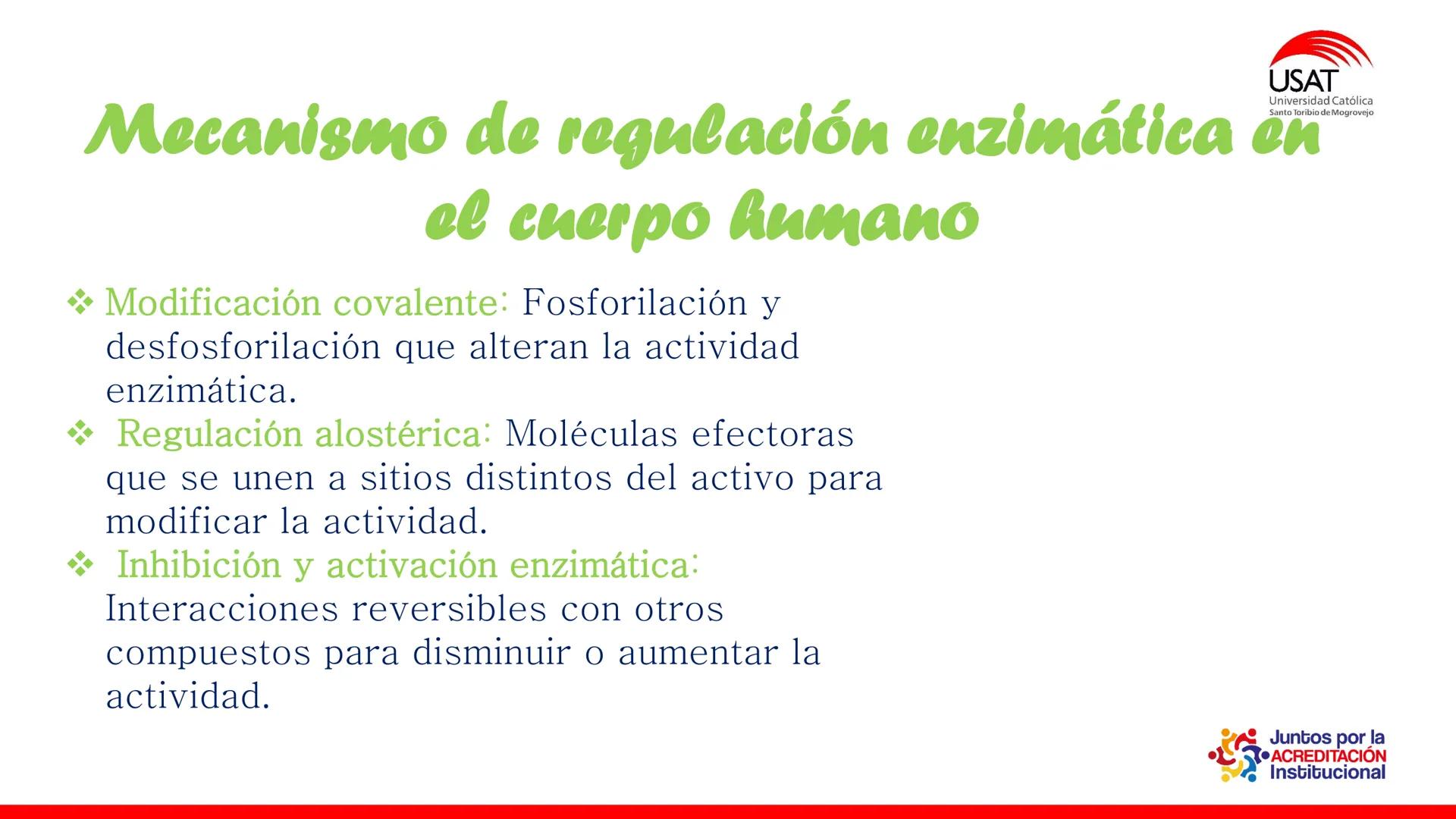 ## estroma
## Cta-Biologia
## BIOENERGÉTICA
## SOL
## espacio
## tilarnide
## CO2
## H₂O
## membrana
## tamela del
## estroma
## C6H12O6
## 