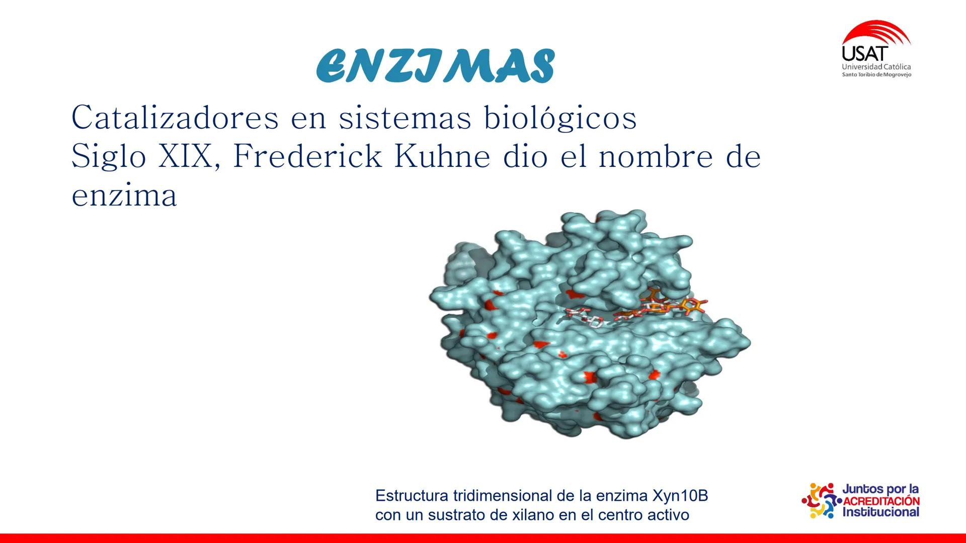 ## estroma
## Cta-Biologia
## BIOENERGÉTICA
## SOL
## espacio
## tilarnide
## CO2
## H₂O
## membrana
## tamela del
## estroma
## C6H12O6
## 