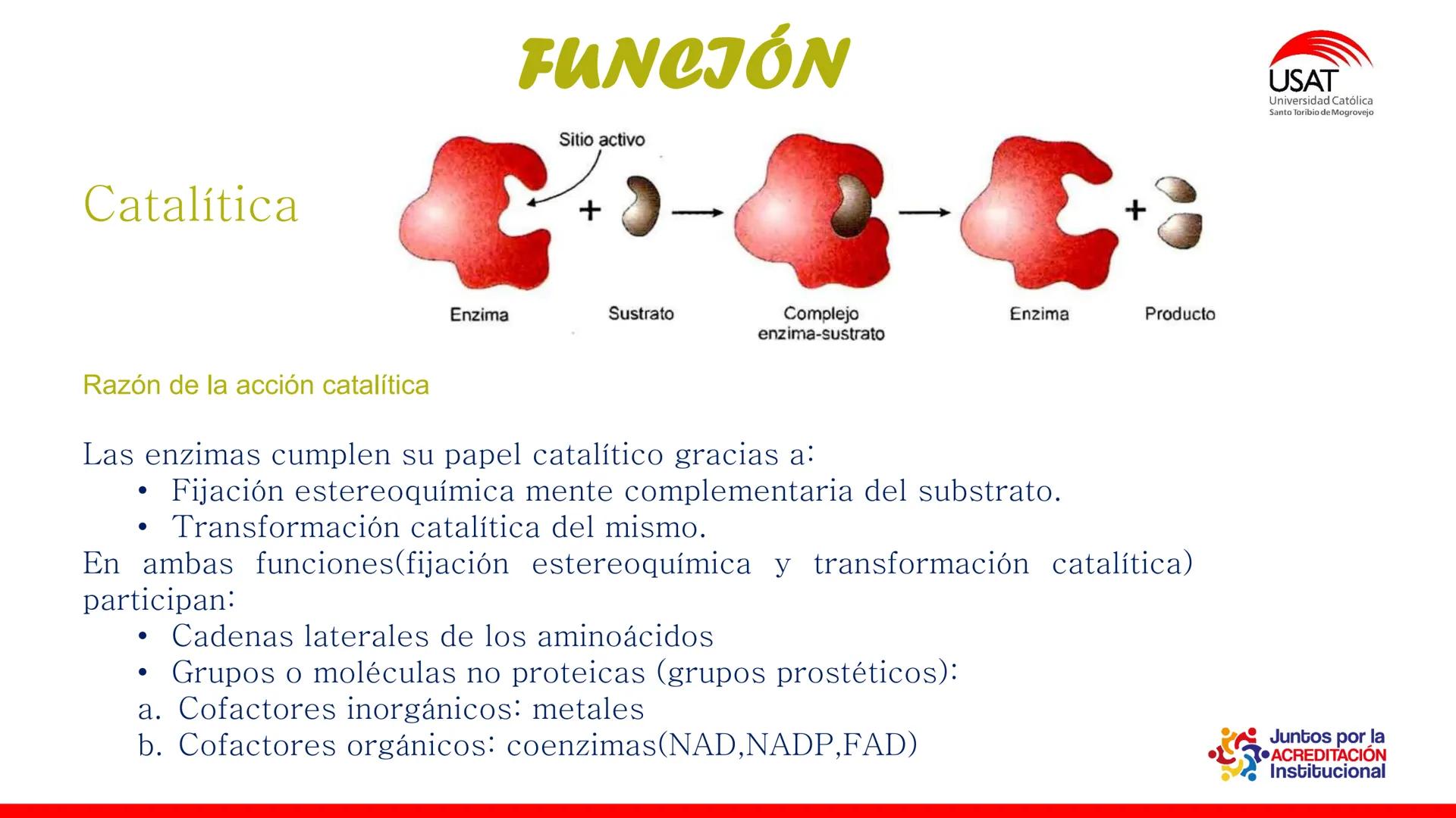 ## estroma
## Cta-Biologia
## BIOENERGÉTICA
## SOL
## espacio
## tilarnide
## CO2
## H₂O
## membrana
## tamela del
## estroma
## C6H12O6
## 