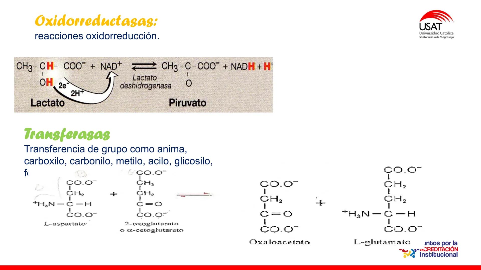 ## estroma
## Cta-Biologia
## BIOENERGÉTICA
## SOL
## espacio
## tilarnide
## CO2
## H₂O
## membrana
## tamela del
## estroma
## C6H12O6
## 