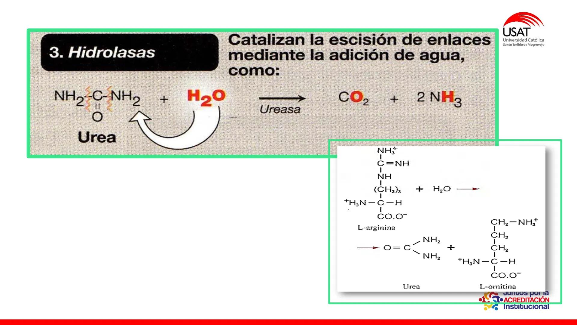 ## estroma
## Cta-Biologia
## BIOENERGÉTICA
## SOL
## espacio
## tilarnide
## CO2
## H₂O
## membrana
## tamela del
## estroma
## C6H12O6
## 