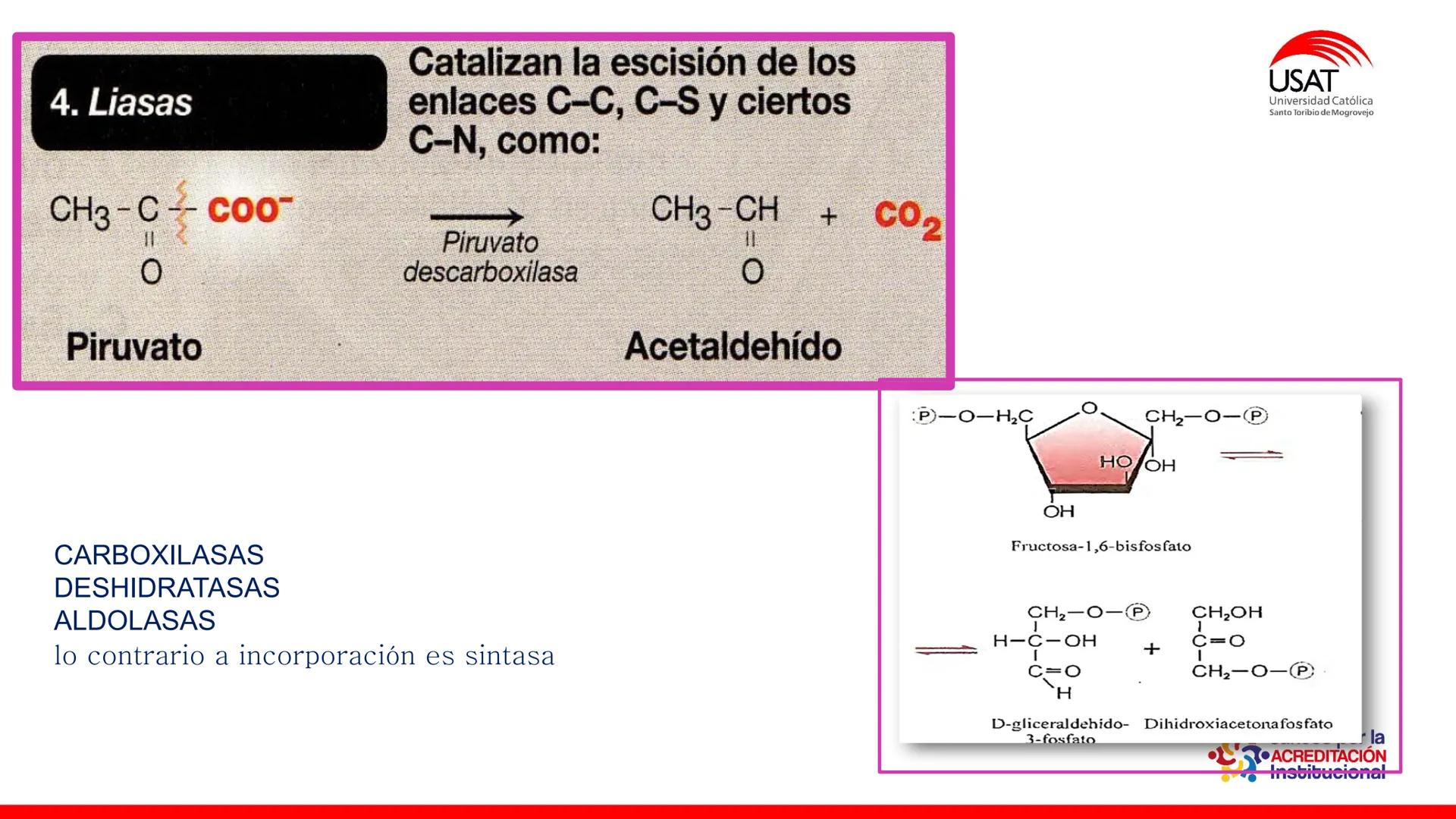 ## estroma
## Cta-Biologia
## BIOENERGÉTICA
## SOL
## espacio
## tilarnide
## CO2
## H₂O
## membrana
## tamela del
## estroma
## C6H12O6
## 