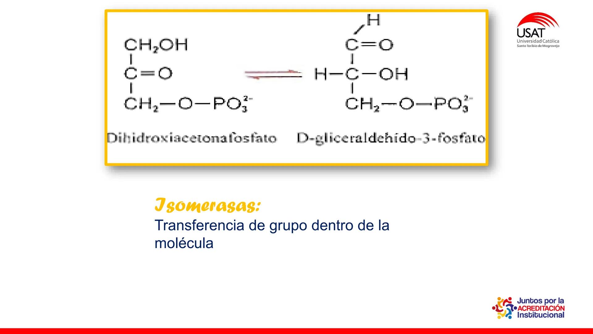 ## estroma
## Cta-Biologia
## BIOENERGÉTICA
## SOL
## espacio
## tilarnide
## CO2
## H₂O
## membrana
## tamela del
## estroma
## C6H12O6
## 