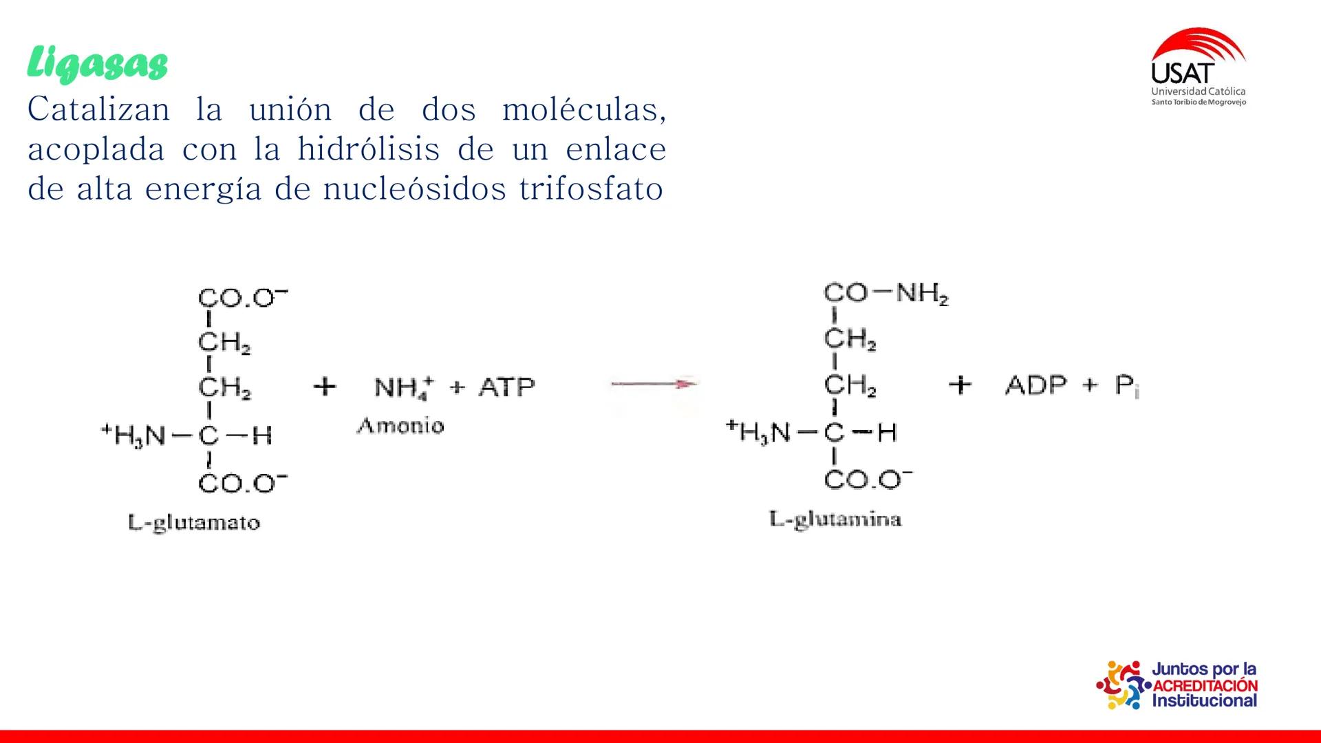 ## estroma
## Cta-Biologia
## BIOENERGÉTICA
## SOL
## espacio
## tilarnide
## CO2
## H₂O
## membrana
## tamela del
## estroma
## C6H12O6
## 