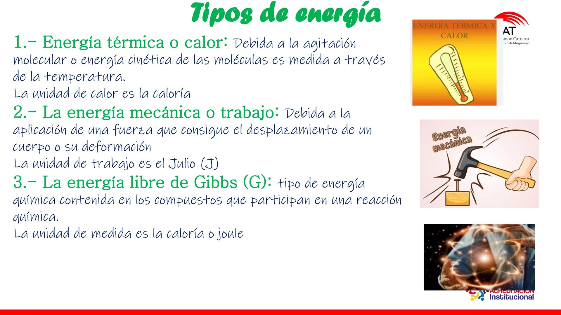 ## estroma
## Cta-Biologia
## BIOENERGÉTICA
## SOL
## espacio
## tilarnide
## CO2
## H₂O
## membrana
## tamela del
## estroma
## C6H12O6
## 