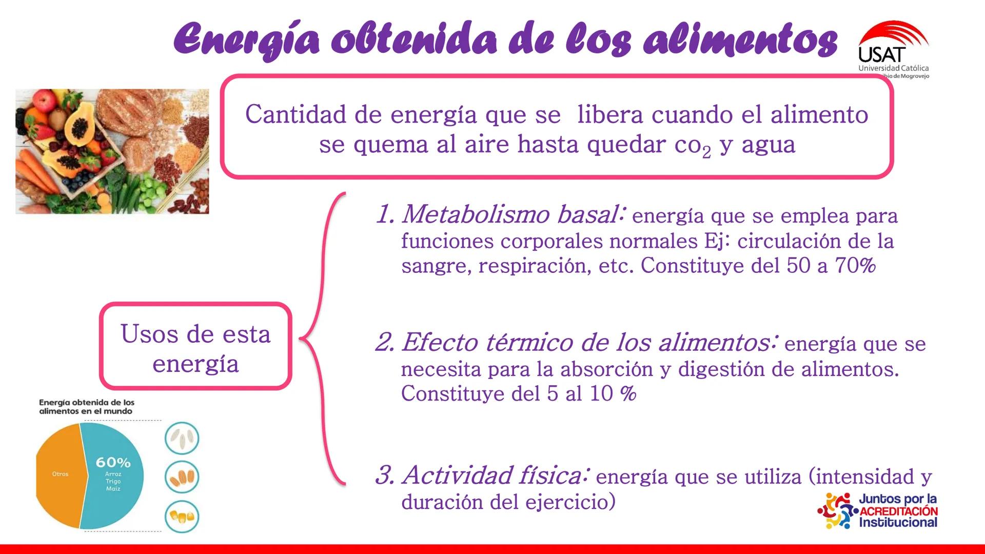 ## estroma
## Cta-Biologia
## BIOENERGÉTICA
## SOL
## espacio
## tilarnide
## CO2
## H₂O
## membrana
## tamela del
## estroma
## C6H12O6
## 