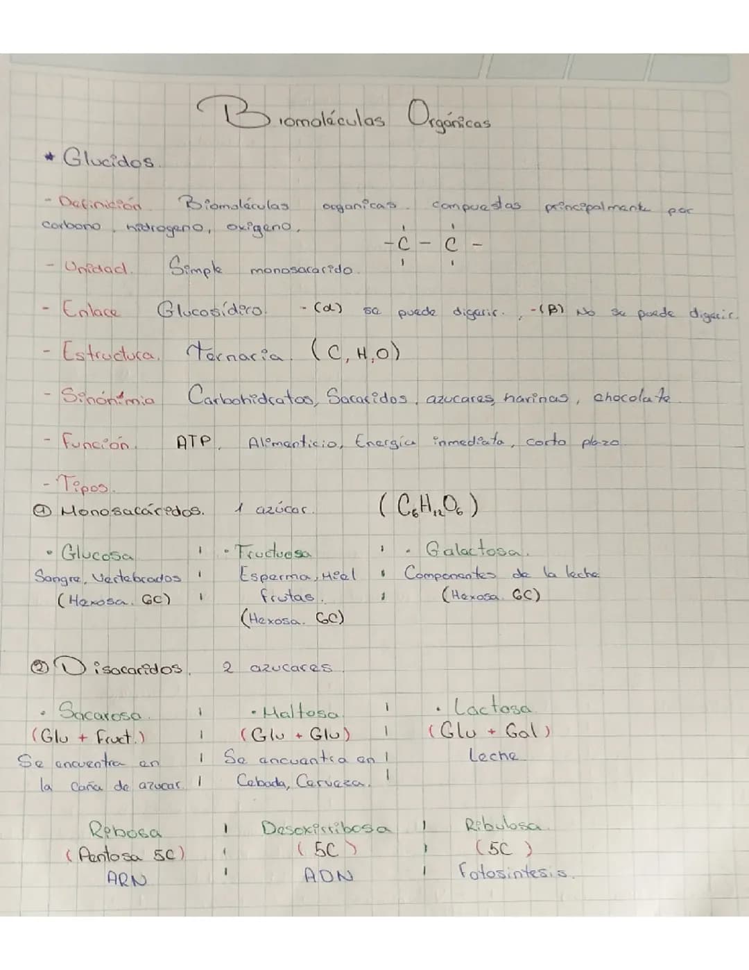 Biomoléculas Orgánicas 
