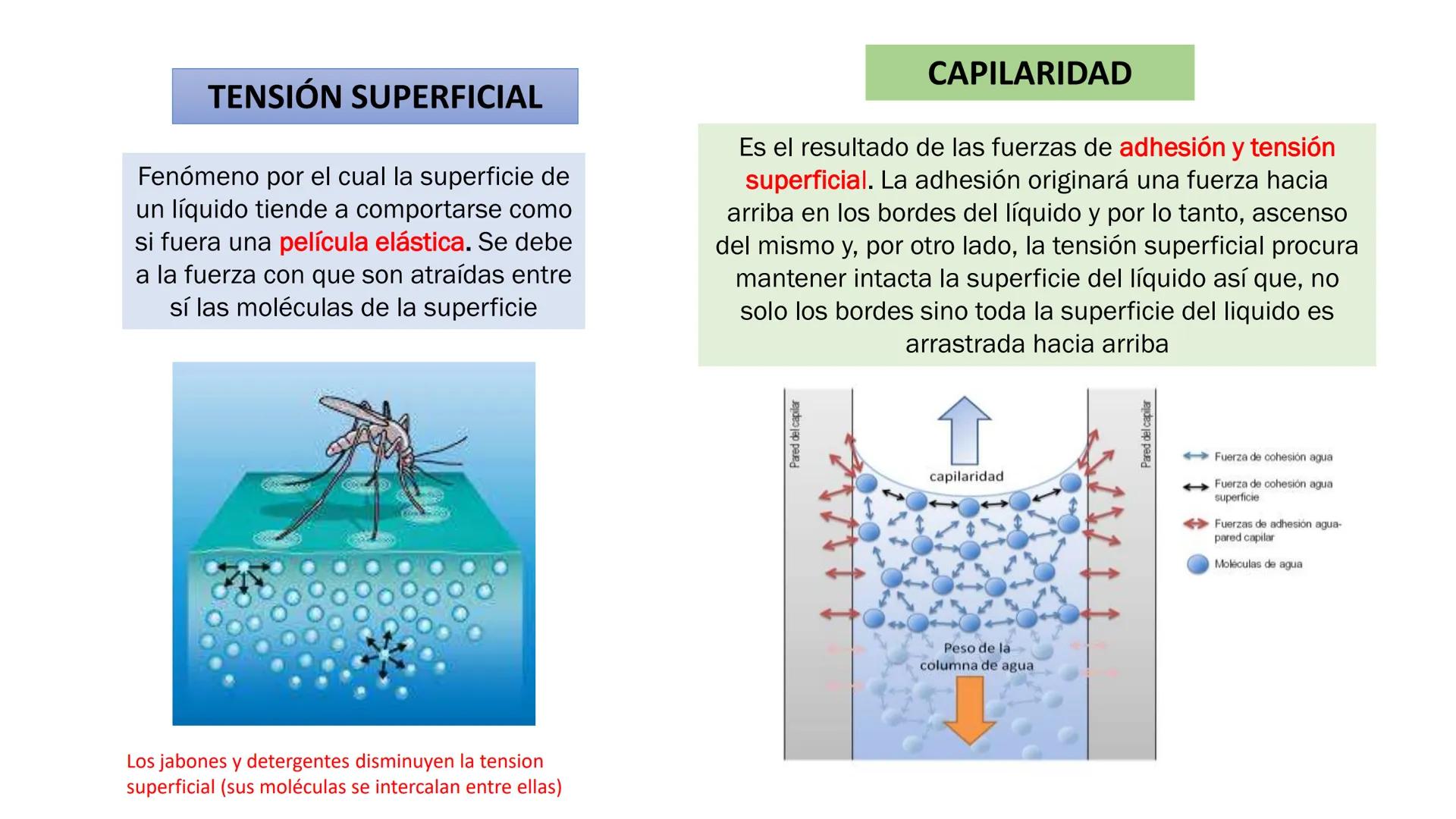 IVERSIDAD NACIONAL DE
PIURA
PERU


TEMA: EL AGUA/BUFFER

Luis A. Rueda Avalo
Profesor - Facultad de Ciencias de la salud
UNP
Iruedaa@unp-edu