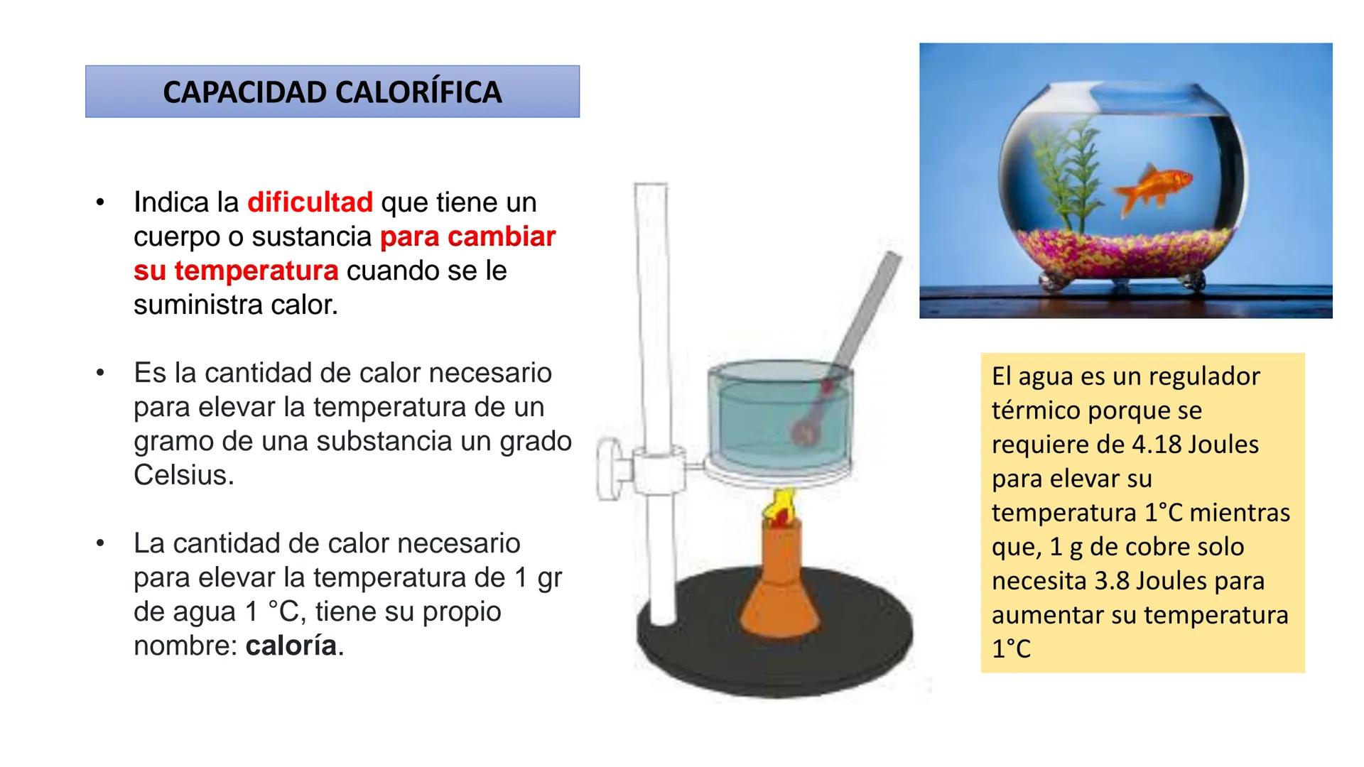 IVERSIDAD NACIONAL DE
PIURA
PERU


TEMA: EL AGUA/BUFFER

Luis A. Rueda Avalo
Profesor - Facultad de Ciencias de la salud
UNP
Iruedaa@unp-edu