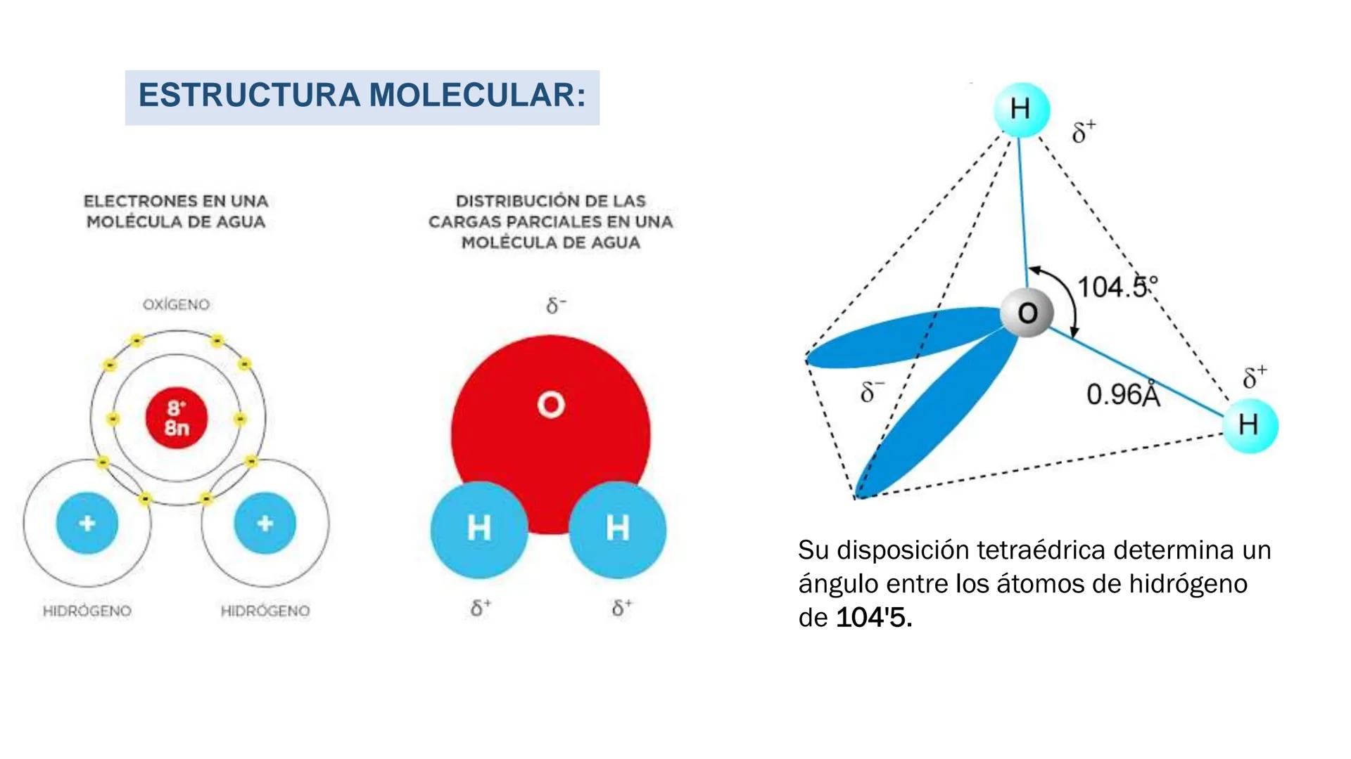 IVERSIDAD NACIONAL DE
PIURA
PERU


TEMA: EL AGUA/BUFFER

Luis A. Rueda Avalo
Profesor - Facultad de Ciencias de la salud
UNP
Iruedaa@unp-edu