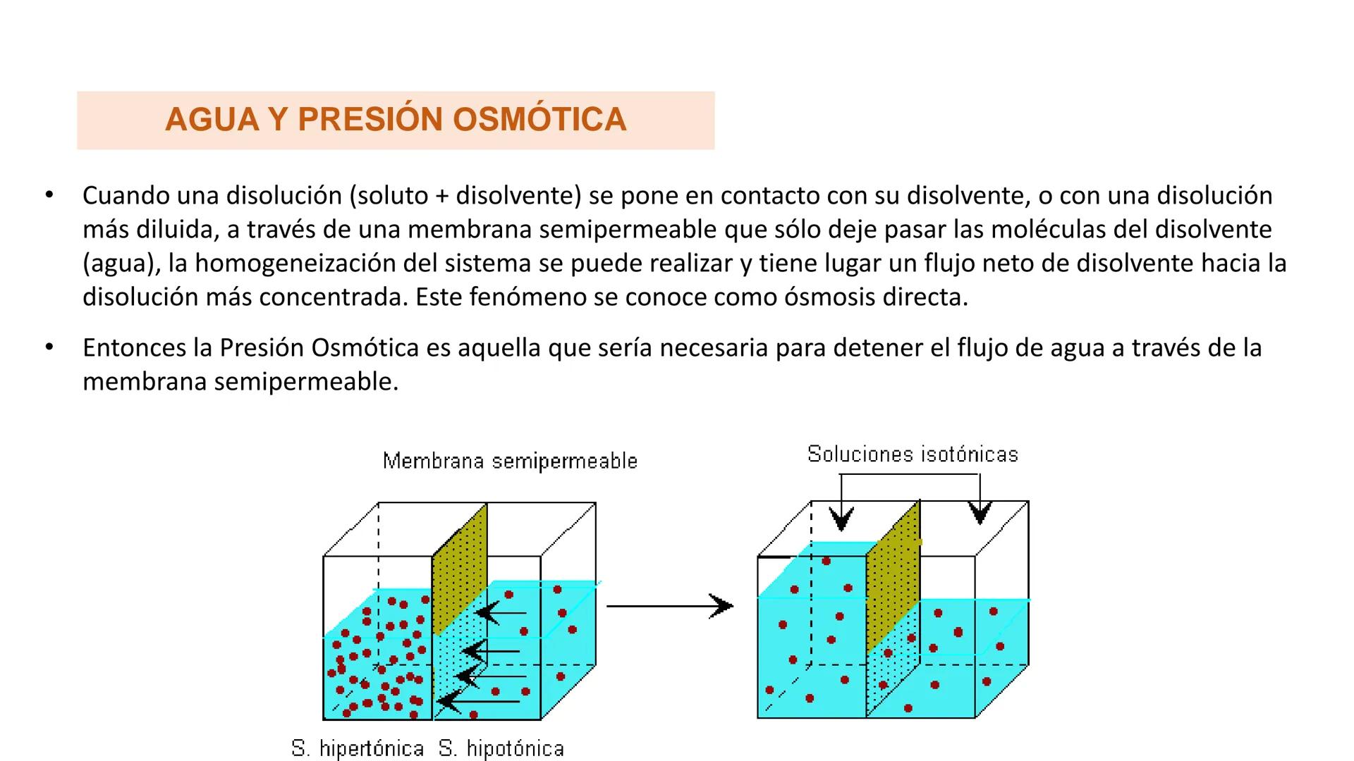 IVERSIDAD NACIONAL DE
PIURA
PERU


TEMA: EL AGUA/BUFFER

Luis A. Rueda Avalo
Profesor - Facultad de Ciencias de la salud
UNP
Iruedaa@unp-edu