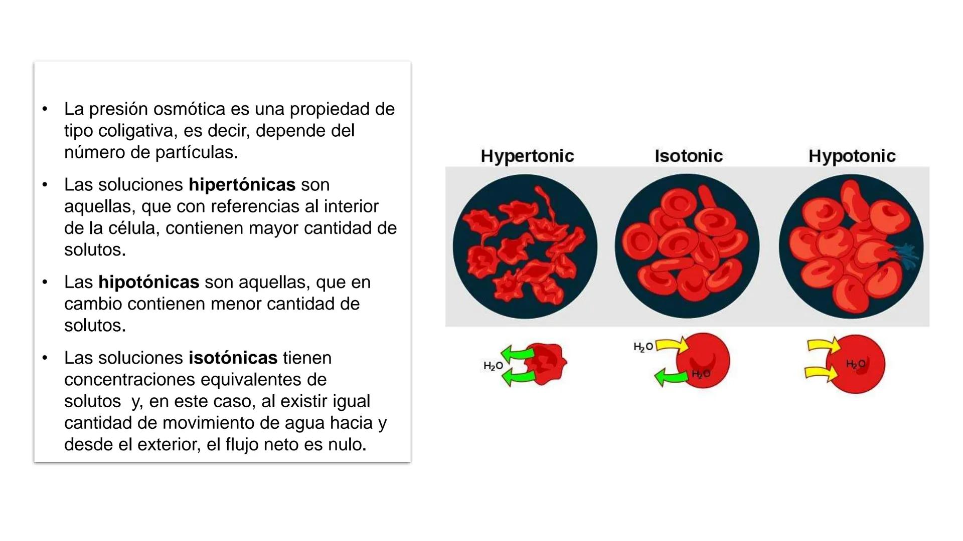 IVERSIDAD NACIONAL DE
PIURA
PERU


TEMA: EL AGUA/BUFFER

Luis A. Rueda Avalo
Profesor - Facultad de Ciencias de la salud
UNP
Iruedaa@unp-edu