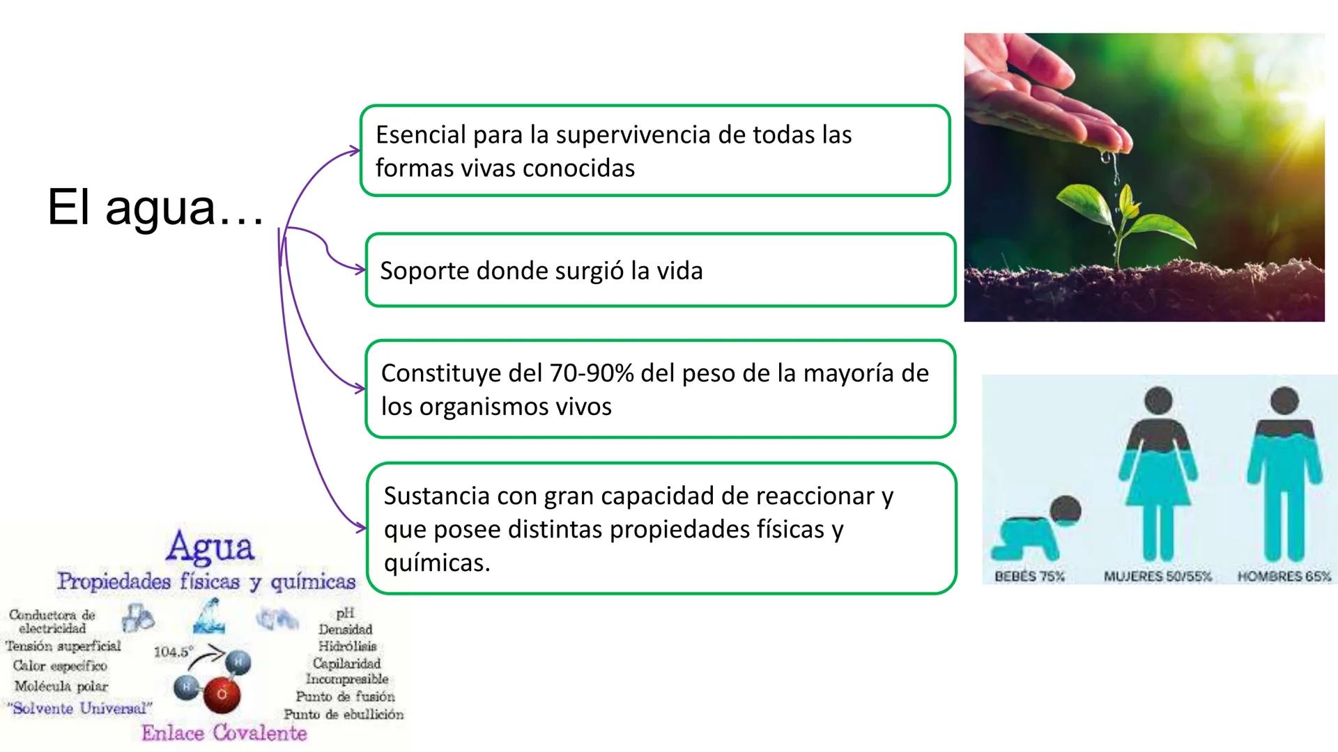 IVERSIDAD NACIONAL DE
PIURA
PERU


TEMA: EL AGUA/BUFFER

Luis A. Rueda Avalo
Profesor - Facultad de Ciencias de la salud
UNP
Iruedaa@unp-edu