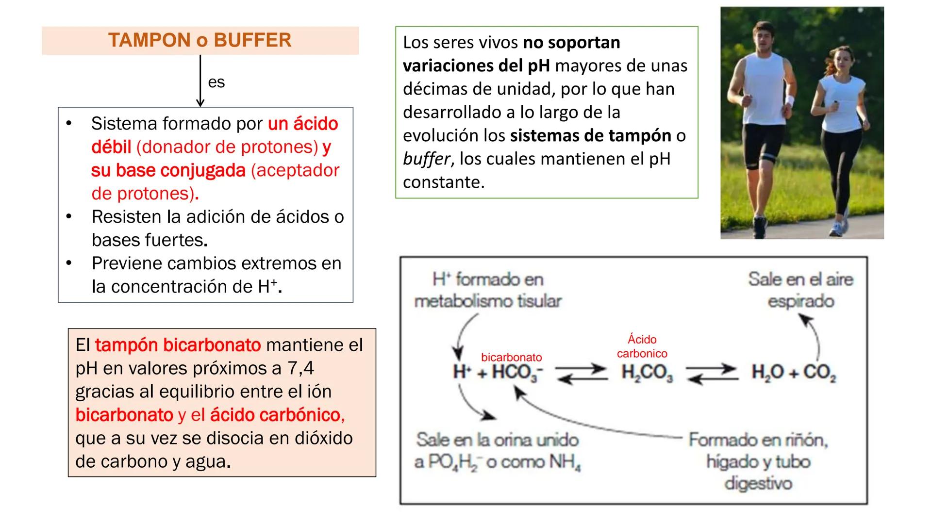 IVERSIDAD NACIONAL DE
PIURA
PERU


TEMA: EL AGUA/BUFFER

Luis A. Rueda Avalo
Profesor - Facultad de Ciencias de la salud
UNP
Iruedaa@unp-edu