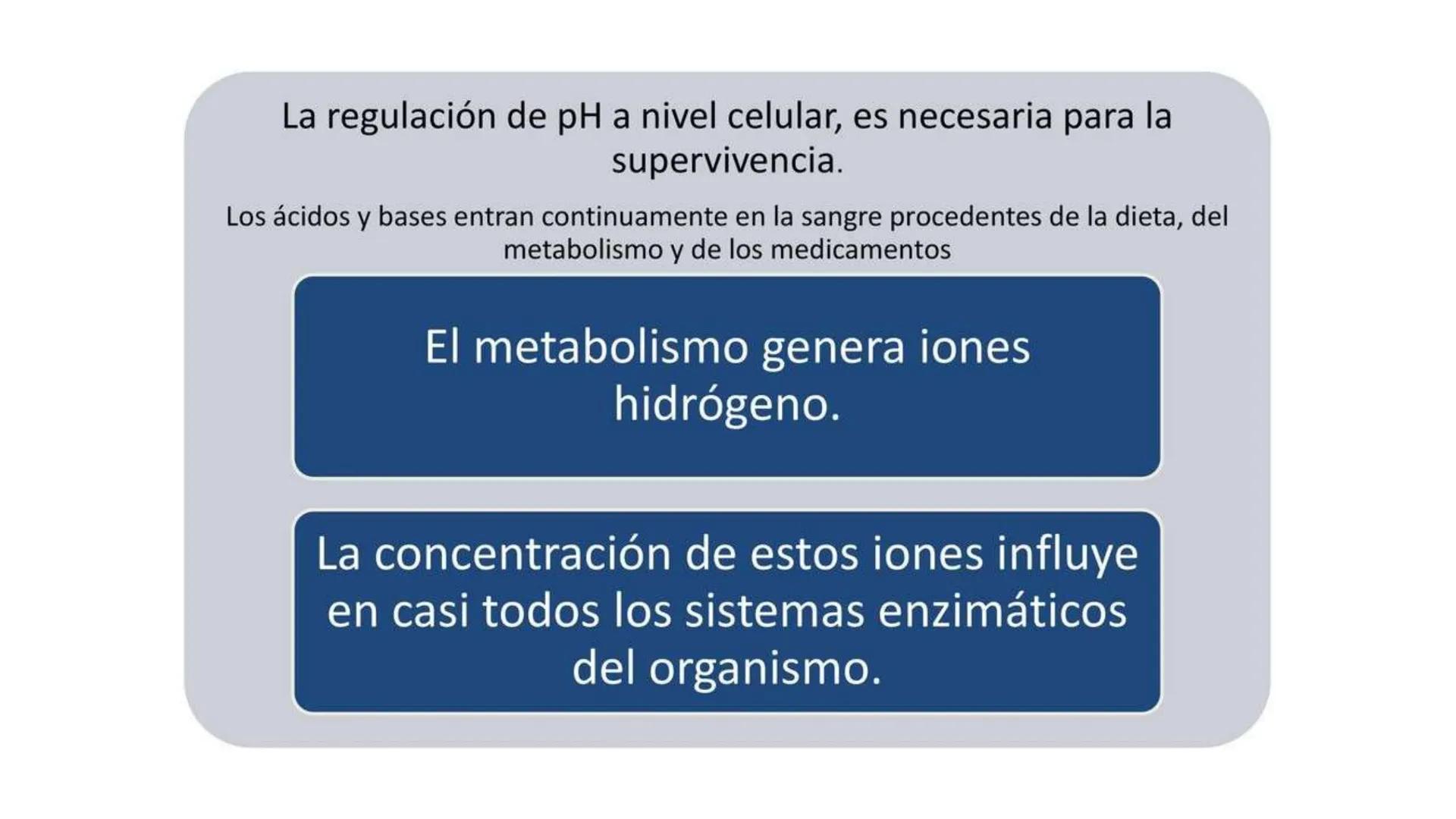 IVERSIDAD NACIONAL DE
PIURA
PERU


TEMA: EL AGUA/BUFFER

Luis A. Rueda Avalo
Profesor - Facultad de Ciencias de la salud
UNP
Iruedaa@unp-edu