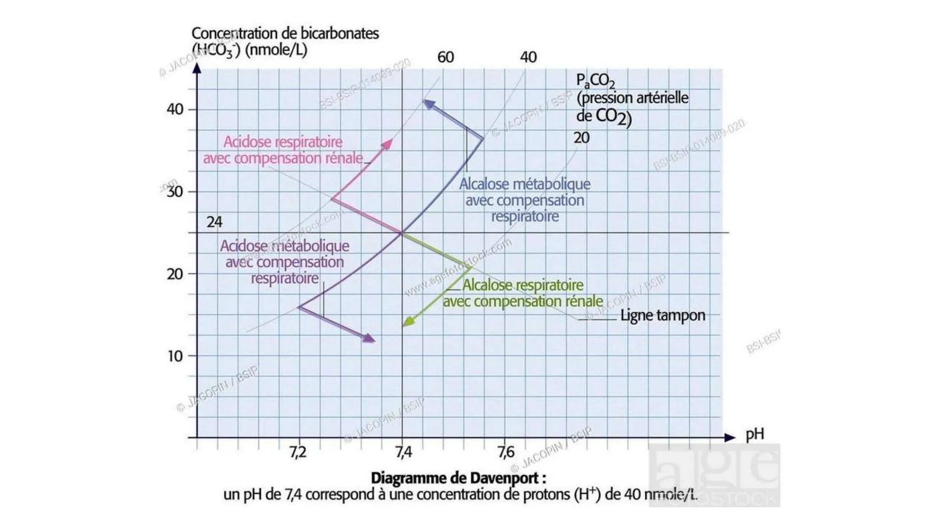 IVERSIDAD NACIONAL DE
PIURA
PERU


TEMA: EL AGUA/BUFFER

Luis A. Rueda Avalo
Profesor - Facultad de Ciencias de la salud
UNP
Iruedaa@unp-edu