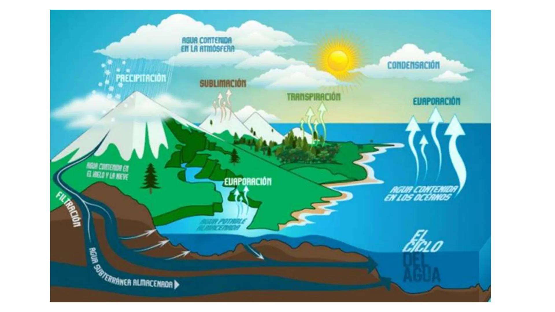 IVERSIDAD NACIONAL DE
PIURA
PERU


TEMA: EL AGUA/BUFFER

Luis A. Rueda Avalo
Profesor - Facultad de Ciencias de la salud
UNP
Iruedaa@unp-edu