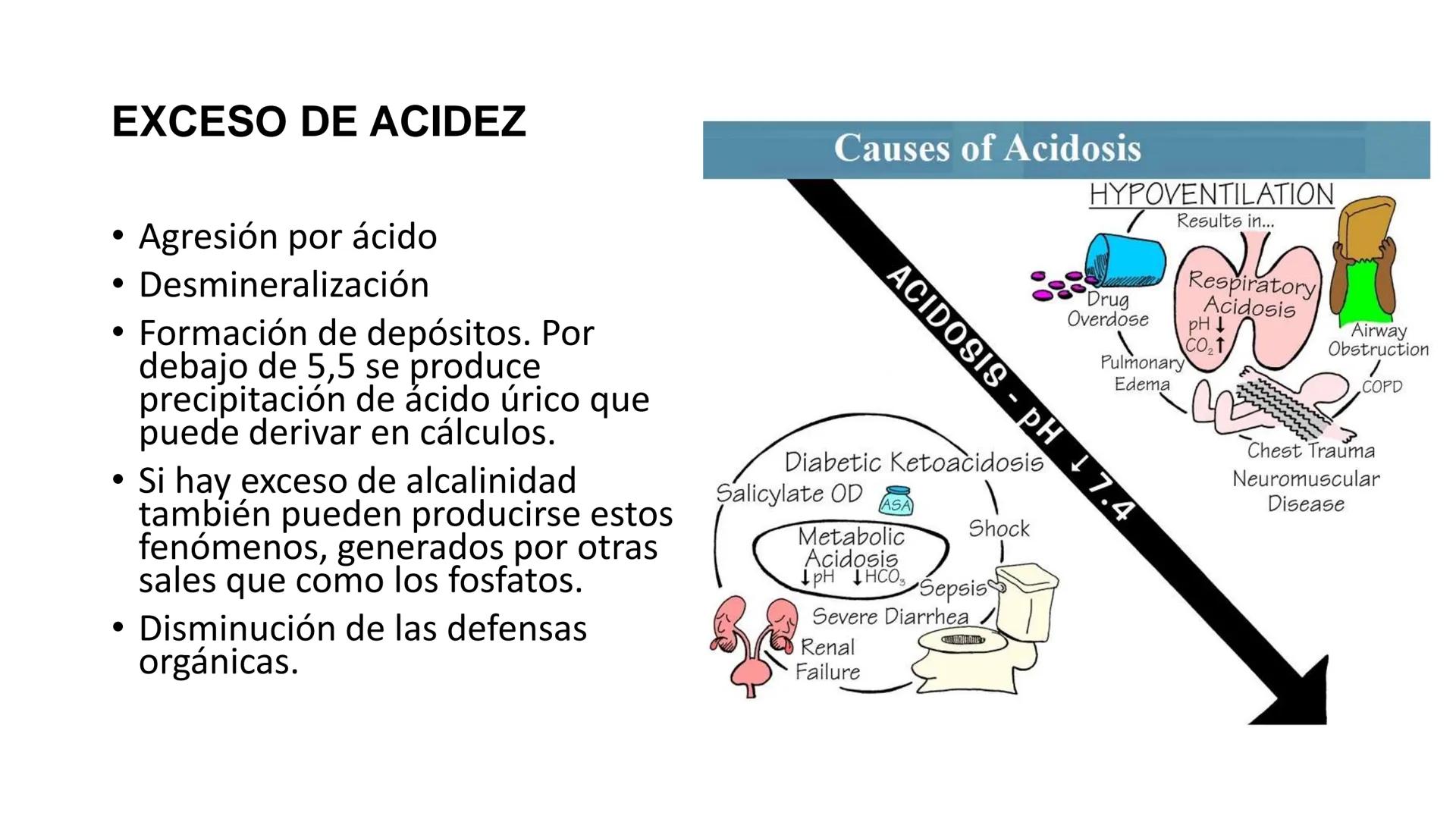 IVERSIDAD NACIONAL DE
PIURA
PERU


TEMA: EL AGUA/BUFFER

Luis A. Rueda Avalo
Profesor - Facultad de Ciencias de la salud
UNP
Iruedaa@unp-edu