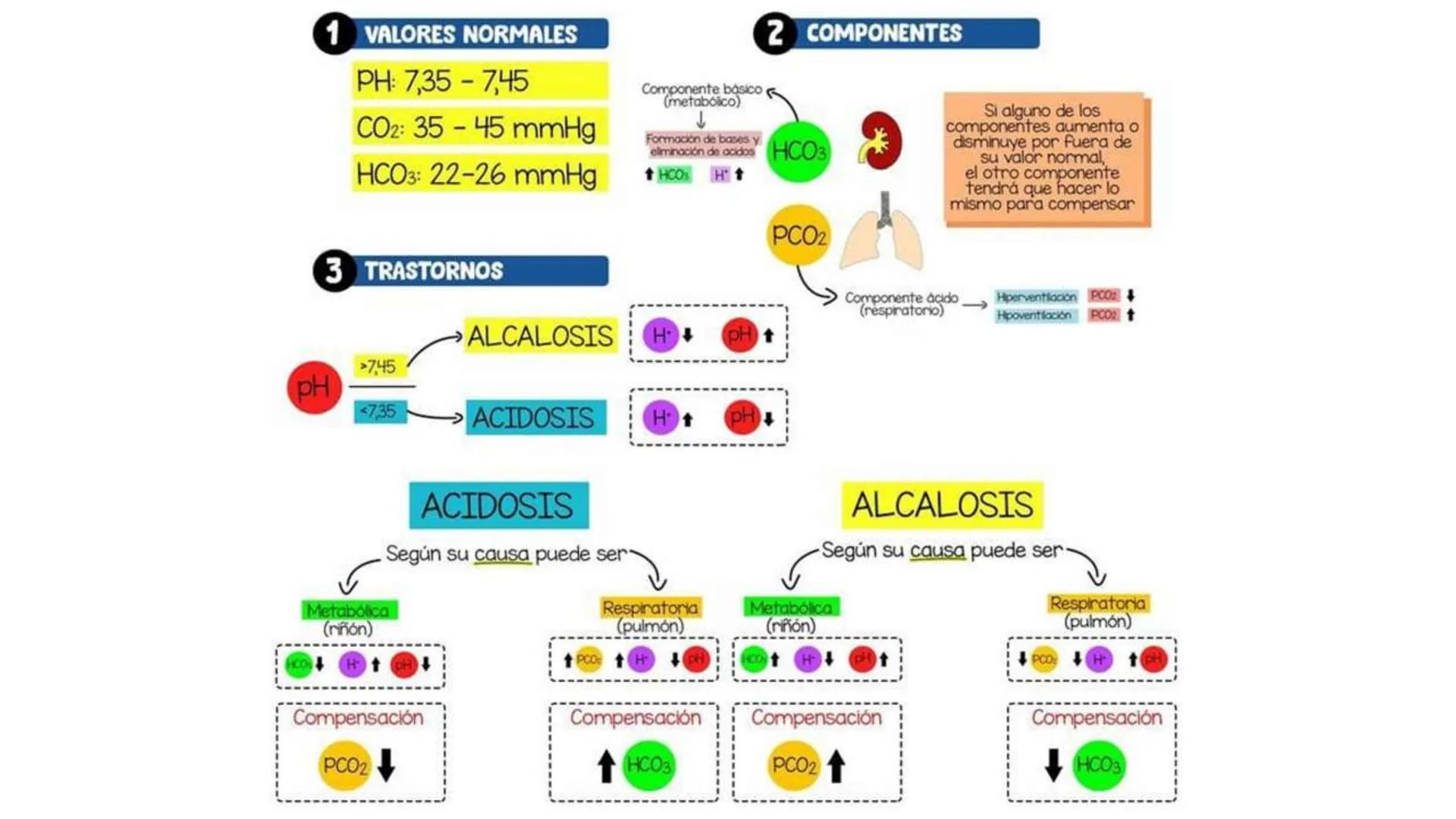 IVERSIDAD NACIONAL DE
PIURA
PERU


TEMA: EL AGUA/BUFFER

Luis A. Rueda Avalo
Profesor - Facultad de Ciencias de la salud
UNP
Iruedaa@unp-edu