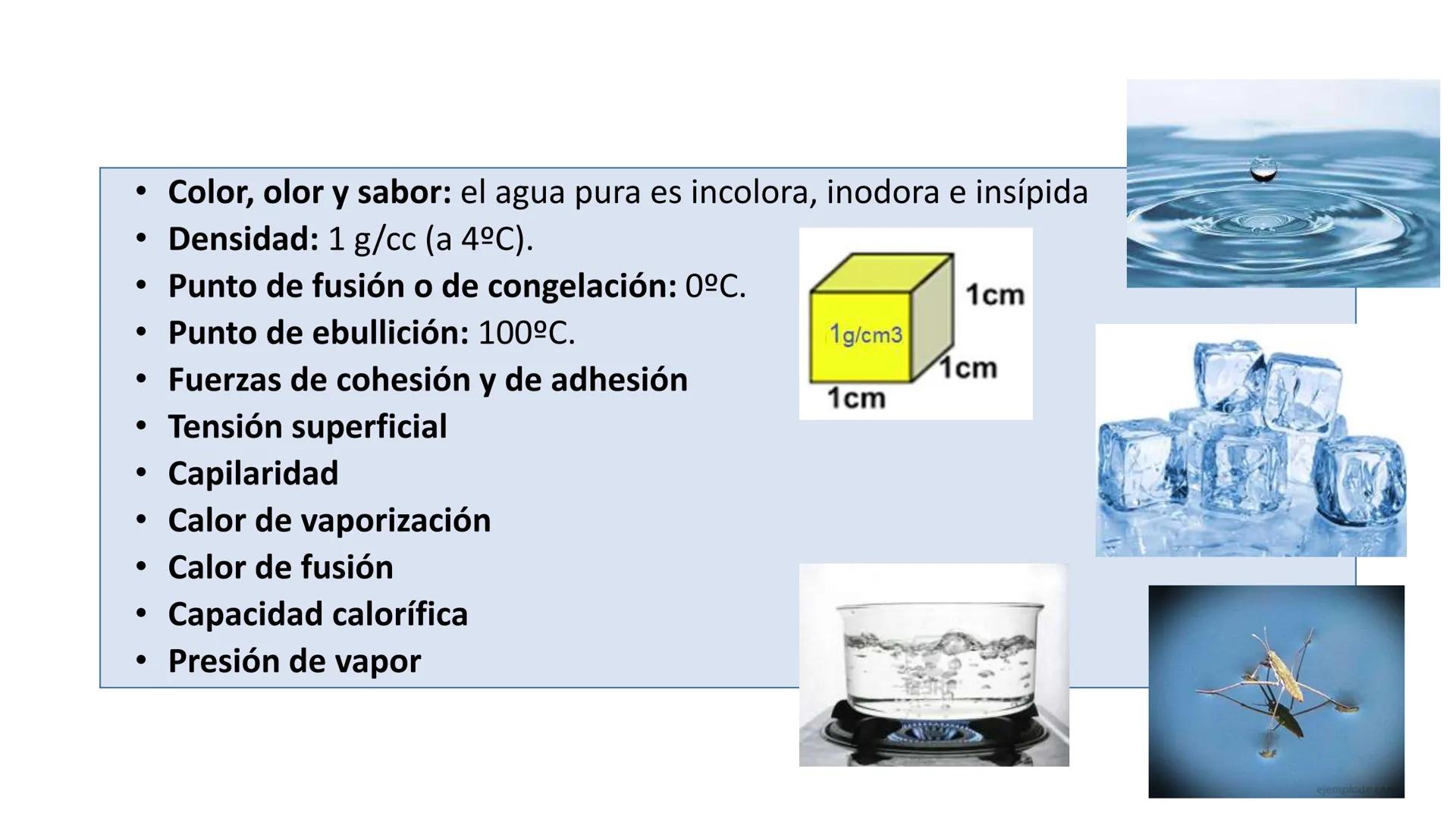 IVERSIDAD NACIONAL DE
PIURA
PERU


TEMA: EL AGUA/BUFFER

Luis A. Rueda Avalo
Profesor - Facultad de Ciencias de la salud
UNP
Iruedaa@unp-edu