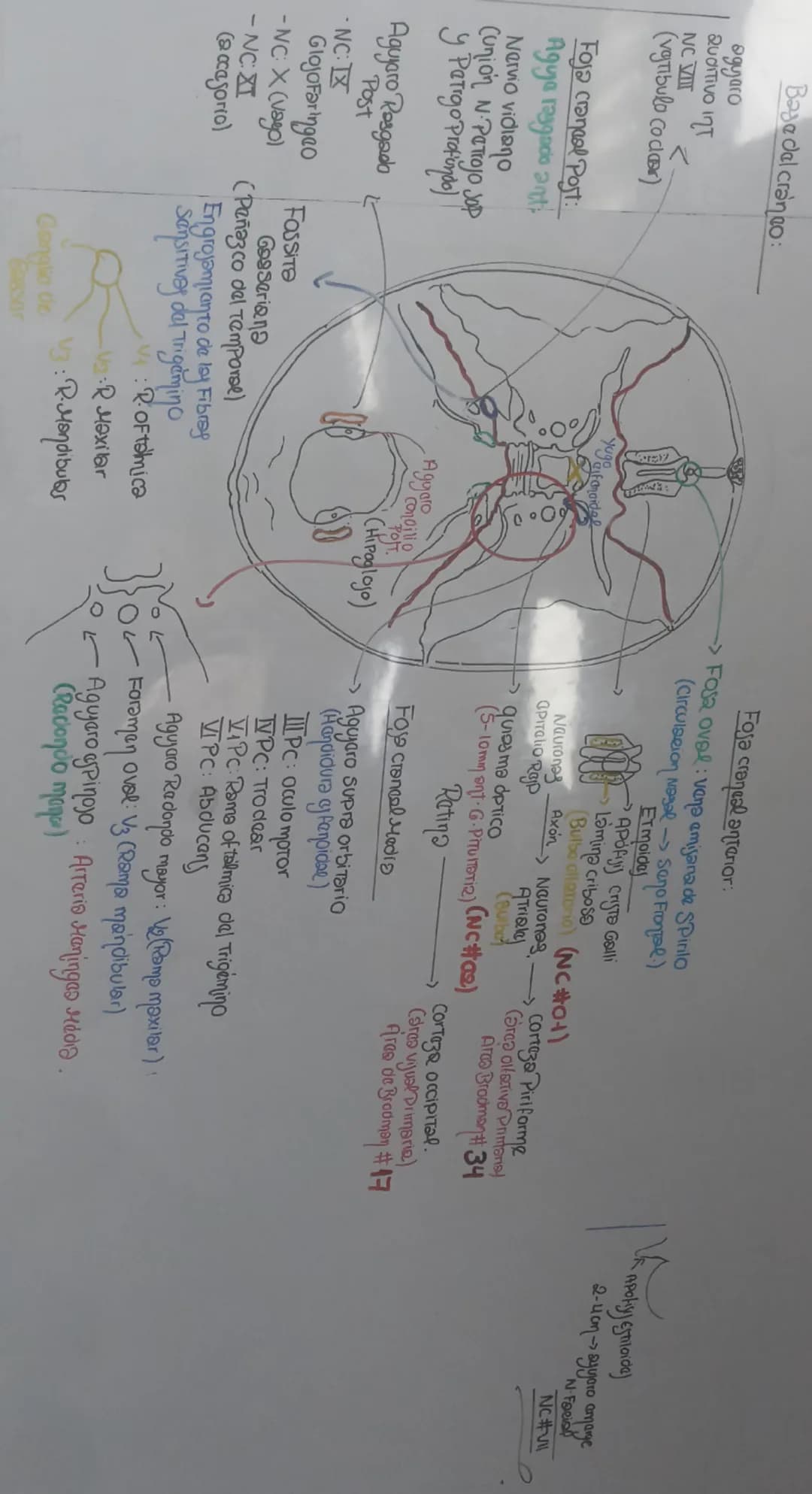 know - 2