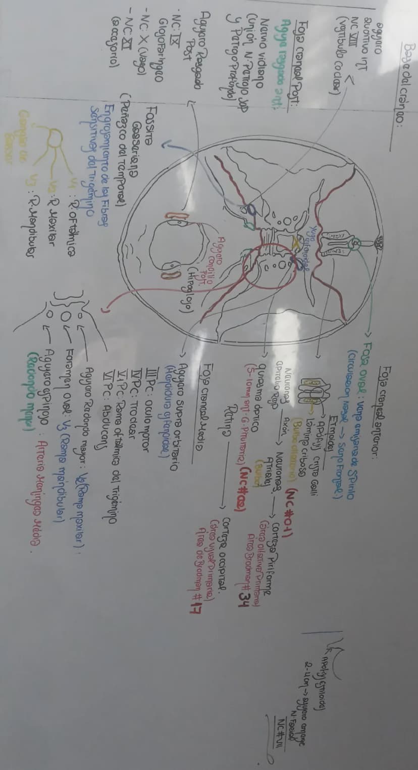 know - 2