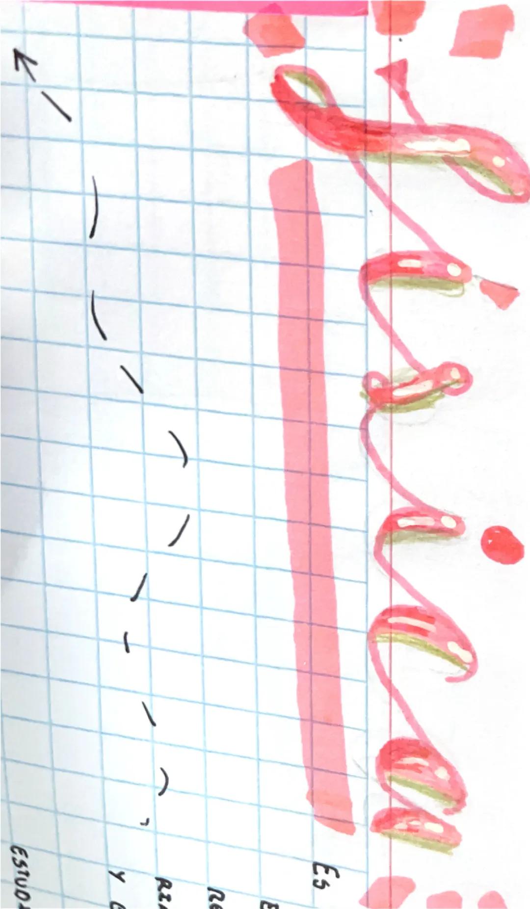 - $\leftarrow$
- Estudio
- y
- Razón
- Re
- Es
- Es + 
Eerter Clerica fisica
Firica
SON LOS ESTUDIOS DE
AQUELLOS FENOMENOS
QUE SE PRODUCEN A