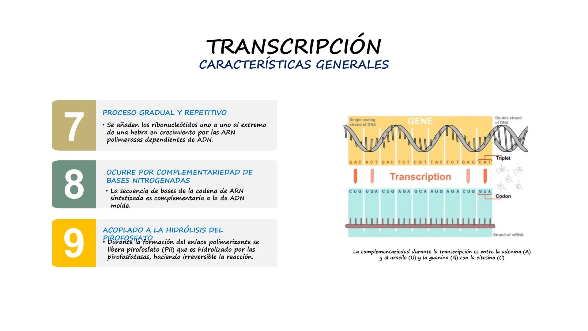 EAD
EDUCACIÓN ADVENTISTA A DISTANCIA
UNIVERSIDAD
PERUANA
UNIÓN

ESCUELA DE ENFERMERÍA

BIOLOGÍA
Y BIOQUÍMICA

UNIDAD 2: Genética molecular
S