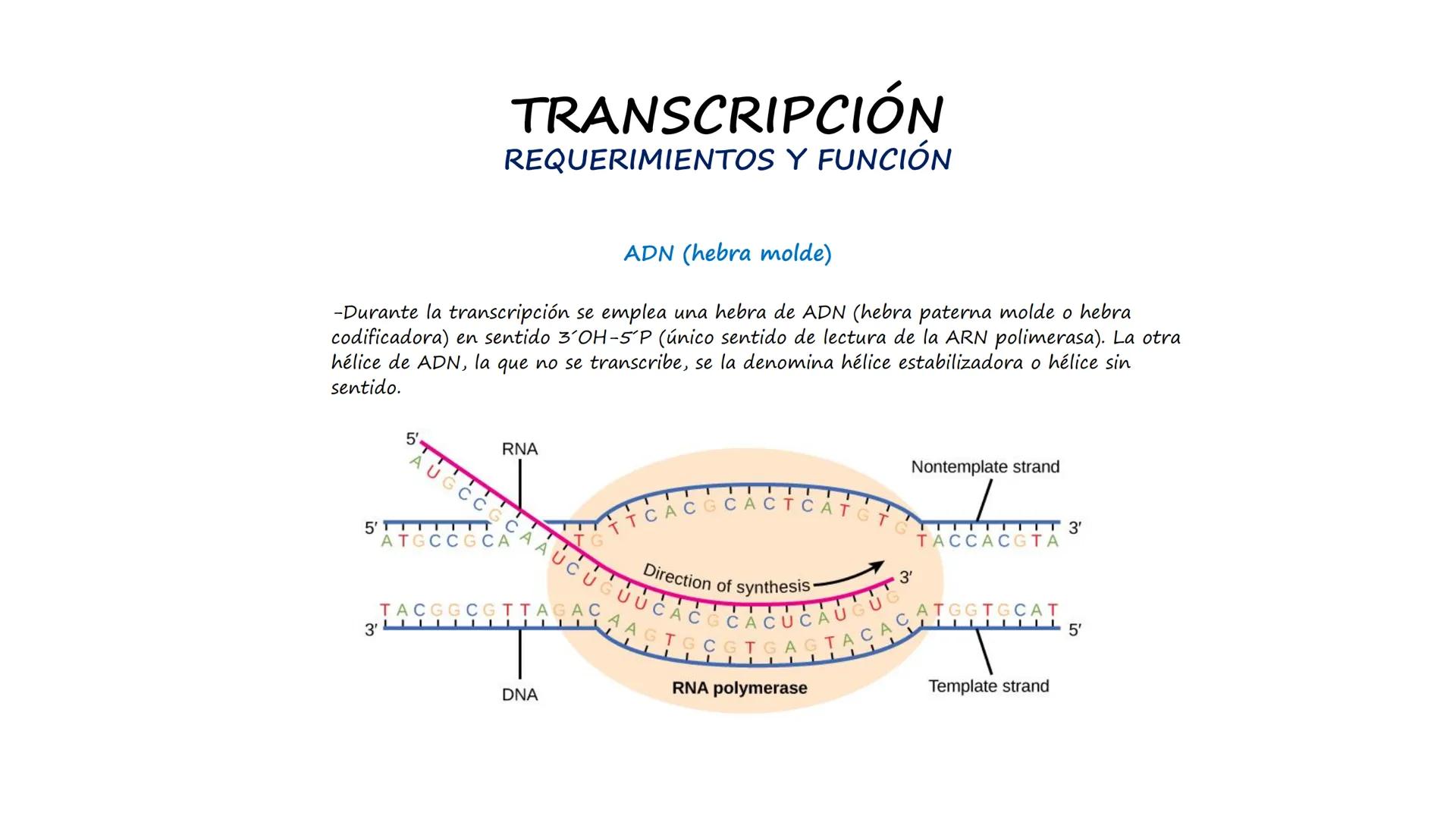 EAD
EDUCACIÓN ADVENTISTA A DISTANCIA
UNIVERSIDAD
PERUANA
UNIÓN

ESCUELA DE ENFERMERÍA

BIOLOGÍA
Y BIOQUÍMICA

UNIDAD 2: Genética molecular
S