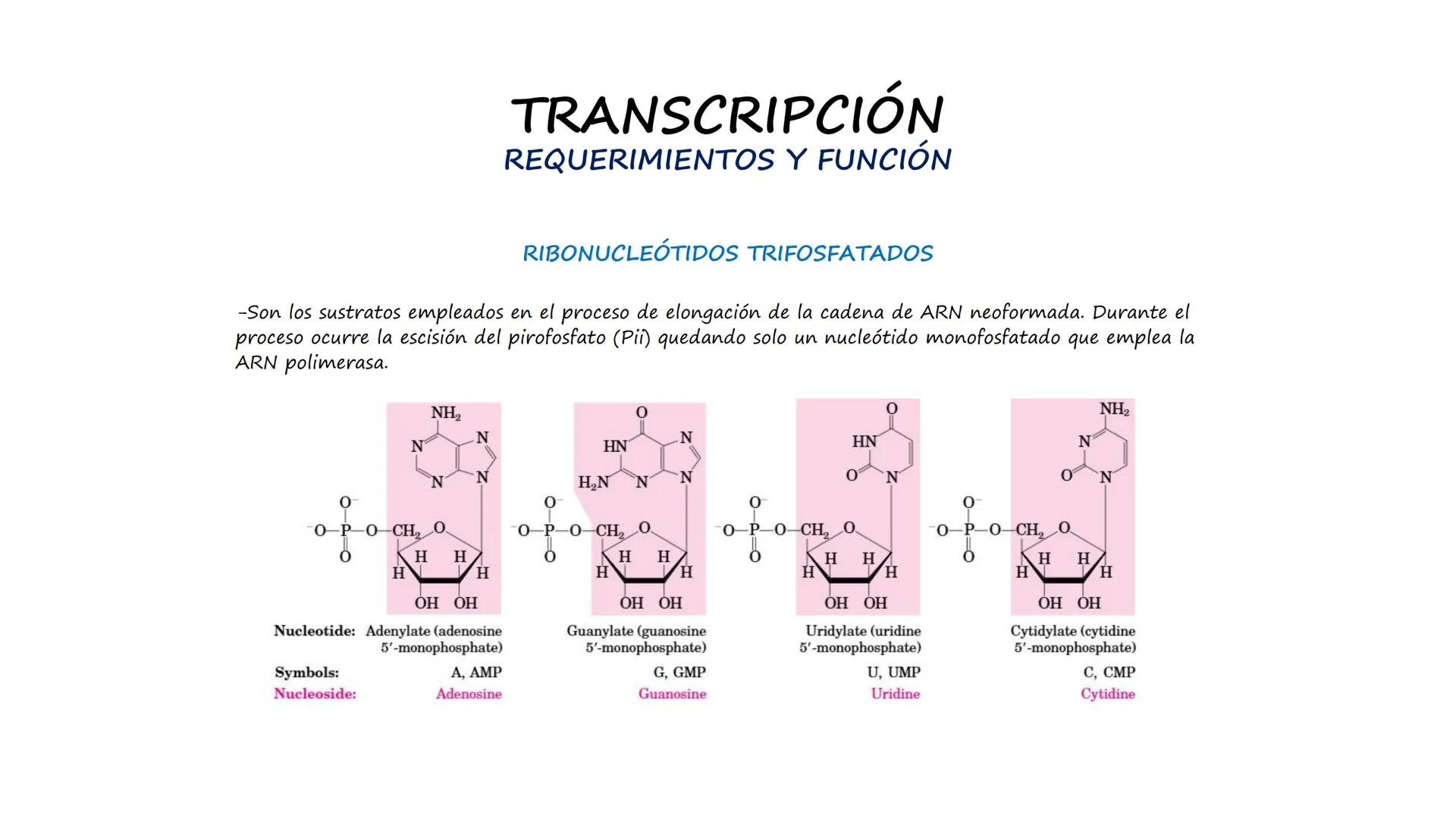 EAD
EDUCACIÓN ADVENTISTA A DISTANCIA
UNIVERSIDAD
PERUANA
UNIÓN

ESCUELA DE ENFERMERÍA

BIOLOGÍA
Y BIOQUÍMICA

UNIDAD 2: Genética molecular
S