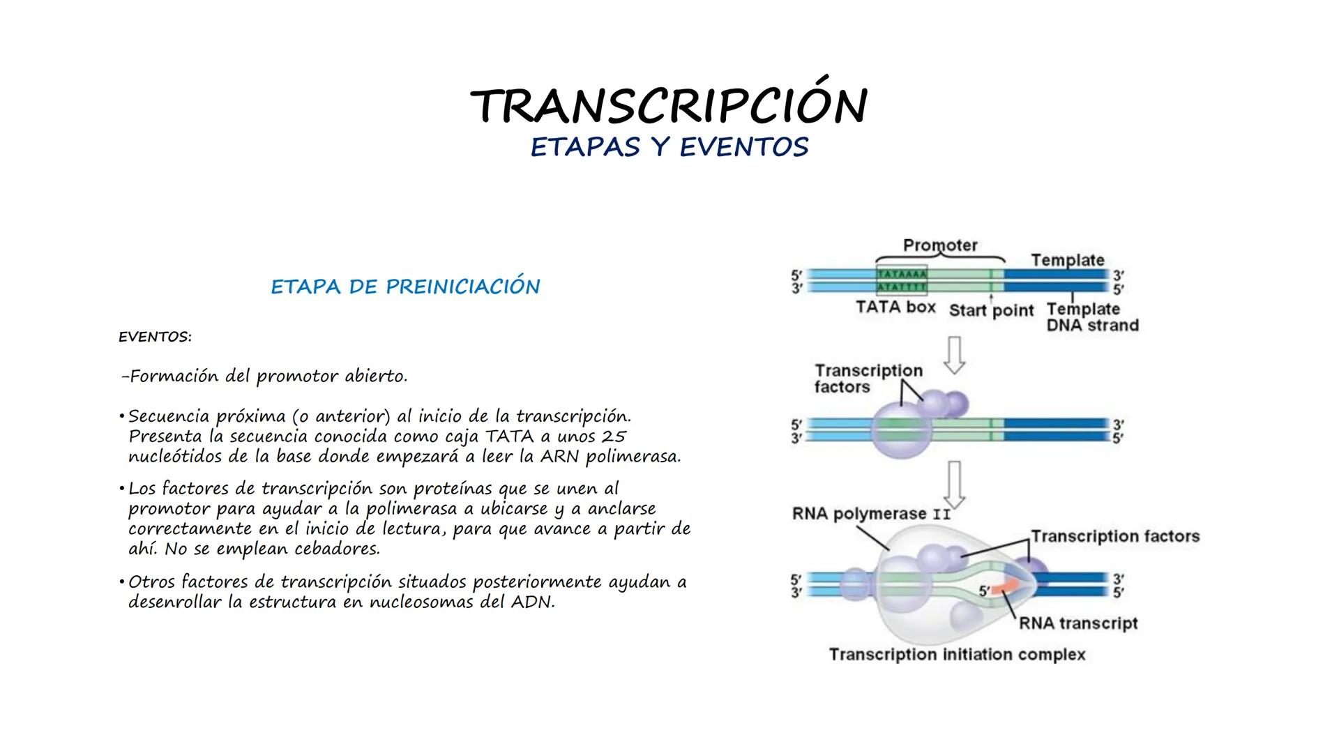 EAD
EDUCACIÓN ADVENTISTA A DISTANCIA
UNIVERSIDAD
PERUANA
UNIÓN

ESCUELA DE ENFERMERÍA

BIOLOGÍA
Y BIOQUÍMICA

UNIDAD 2: Genética molecular
S
