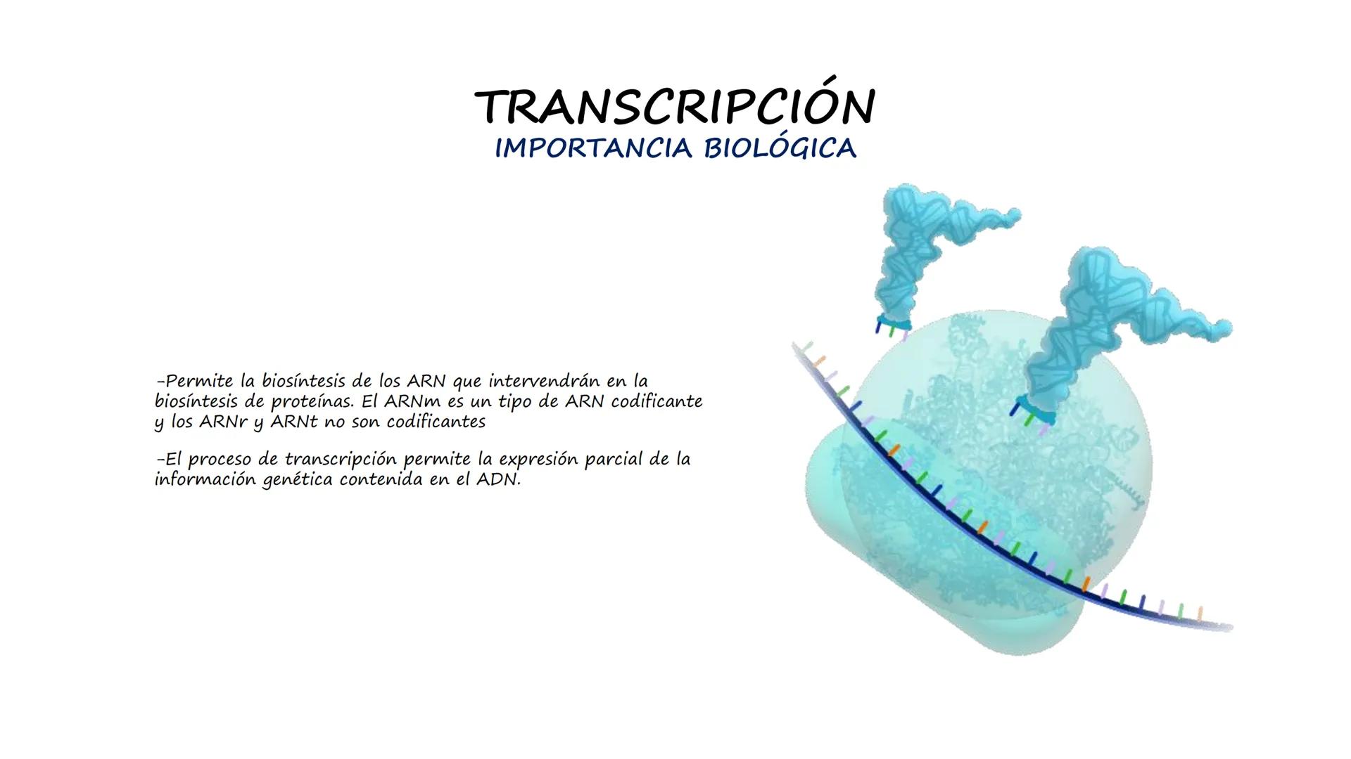 EAD
EDUCACIÓN ADVENTISTA A DISTANCIA
UNIVERSIDAD
PERUANA
UNIÓN

ESCUELA DE ENFERMERÍA

BIOLOGÍA
Y BIOQUÍMICA

UNIDAD 2: Genética molecular
S