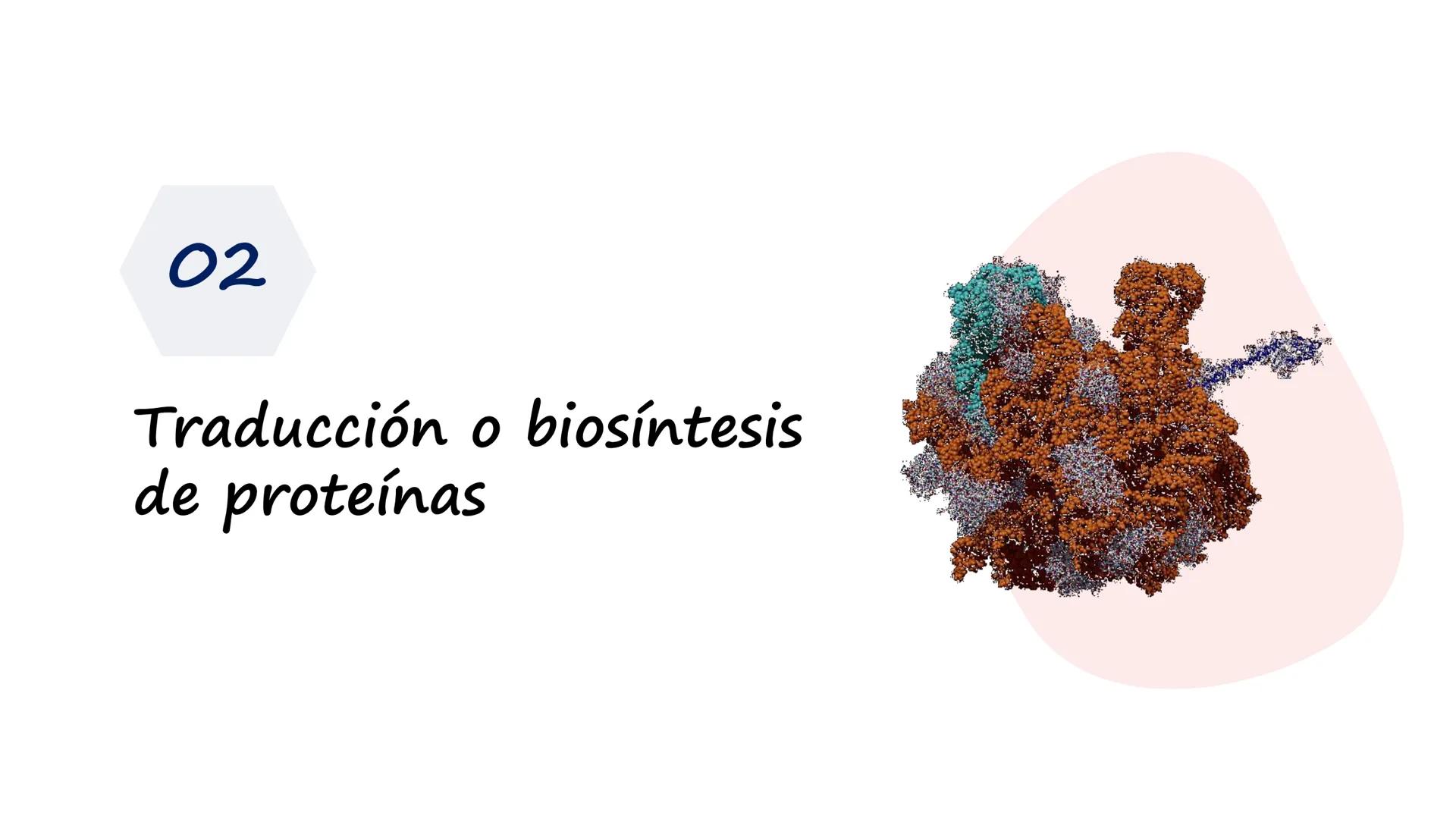 EAD
EDUCACIÓN ADVENTISTA A DISTANCIA
UNIVERSIDAD
PERUANA
UNIÓN

ESCUELA DE ENFERMERÍA

BIOLOGÍA
Y BIOQUÍMICA

UNIDAD 2: Genética molecular
S