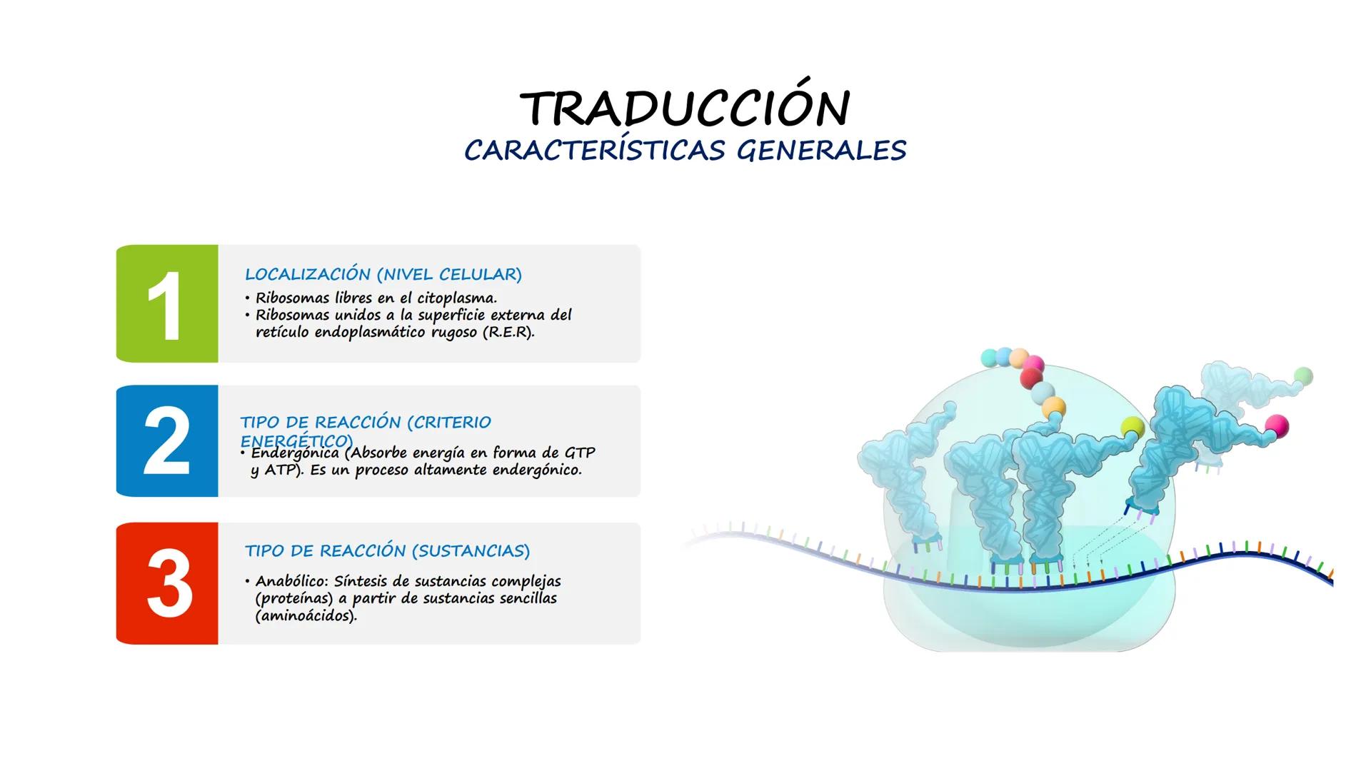 EAD
EDUCACIÓN ADVENTISTA A DISTANCIA
UNIVERSIDAD
PERUANA
UNIÓN

ESCUELA DE ENFERMERÍA

BIOLOGÍA
Y BIOQUÍMICA

UNIDAD 2: Genética molecular
S