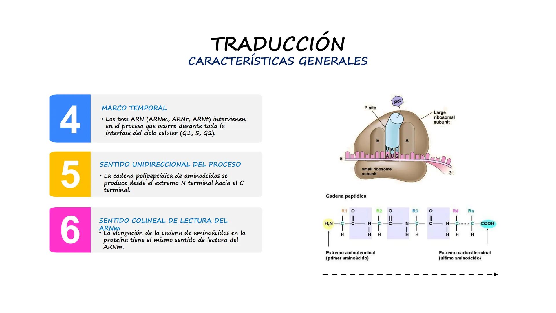 EAD
EDUCACIÓN ADVENTISTA A DISTANCIA
UNIVERSIDAD
PERUANA
UNIÓN

ESCUELA DE ENFERMERÍA

BIOLOGÍA
Y BIOQUÍMICA

UNIDAD 2: Genética molecular
S