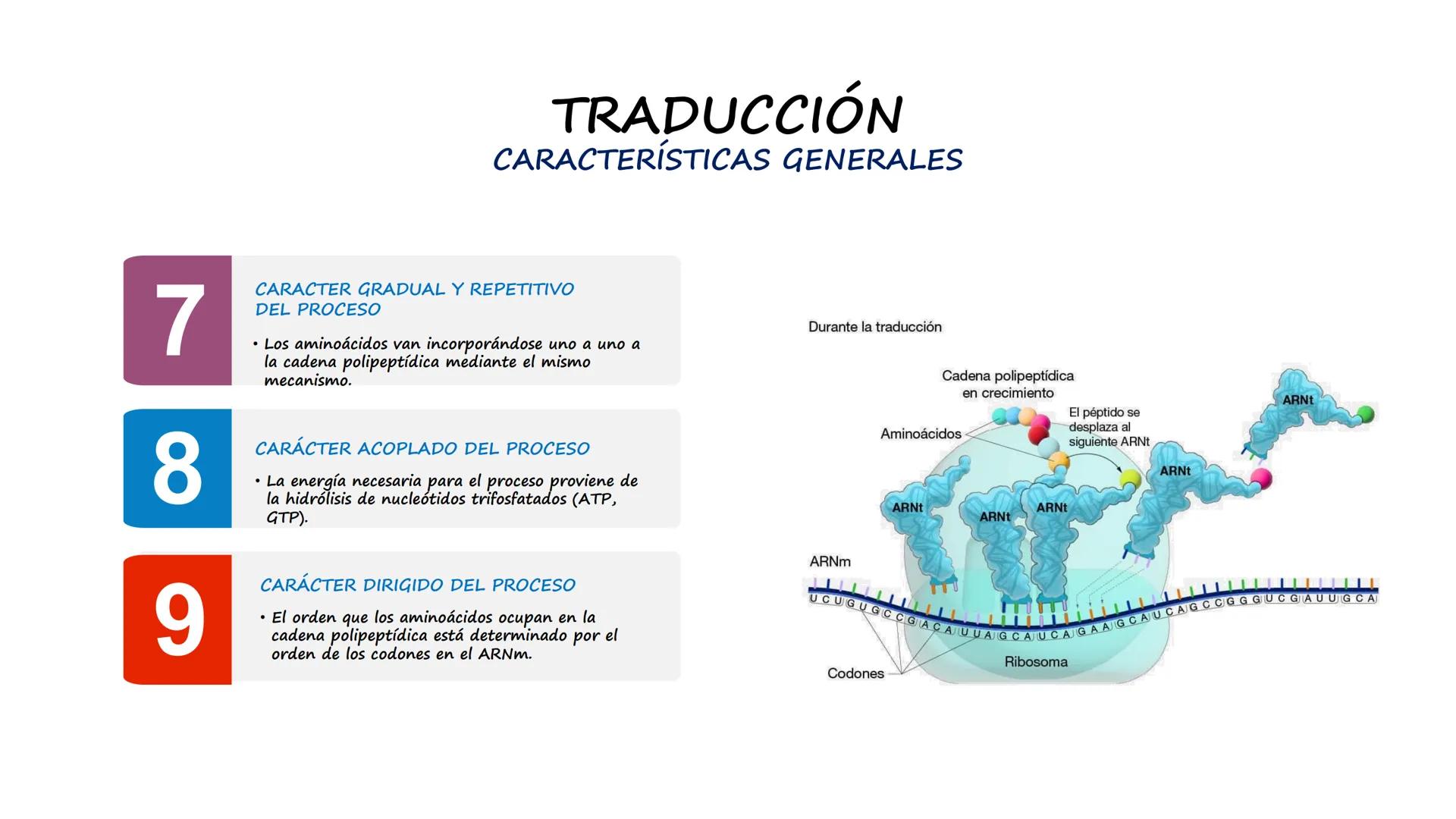 EAD
EDUCACIÓN ADVENTISTA A DISTANCIA
UNIVERSIDAD
PERUANA
UNIÓN

ESCUELA DE ENFERMERÍA

BIOLOGÍA
Y BIOQUÍMICA

UNIDAD 2: Genética molecular
S