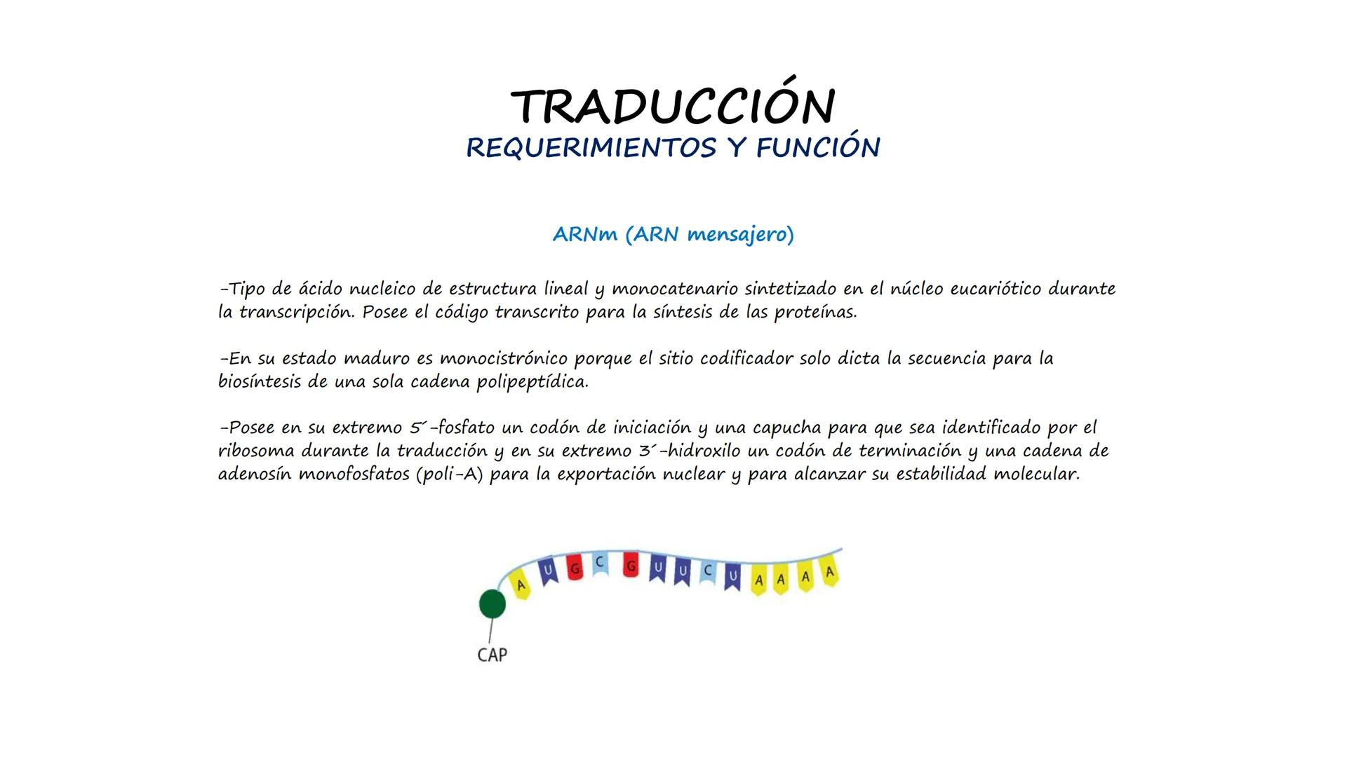 EAD
EDUCACIÓN ADVENTISTA A DISTANCIA
UNIVERSIDAD
PERUANA
UNIÓN

ESCUELA DE ENFERMERÍA

BIOLOGÍA
Y BIOQUÍMICA

UNIDAD 2: Genética molecular
S
