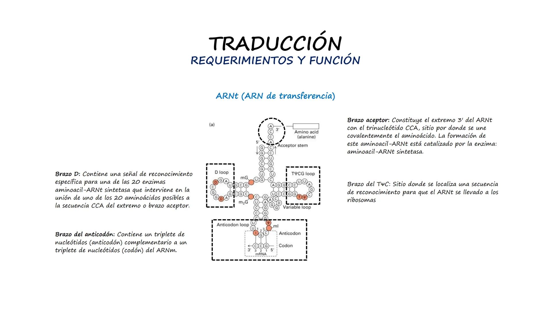 EAD
EDUCACIÓN ADVENTISTA A DISTANCIA
UNIVERSIDAD
PERUANA
UNIÓN

ESCUELA DE ENFERMERÍA

BIOLOGÍA
Y BIOQUÍMICA

UNIDAD 2: Genética molecular
S