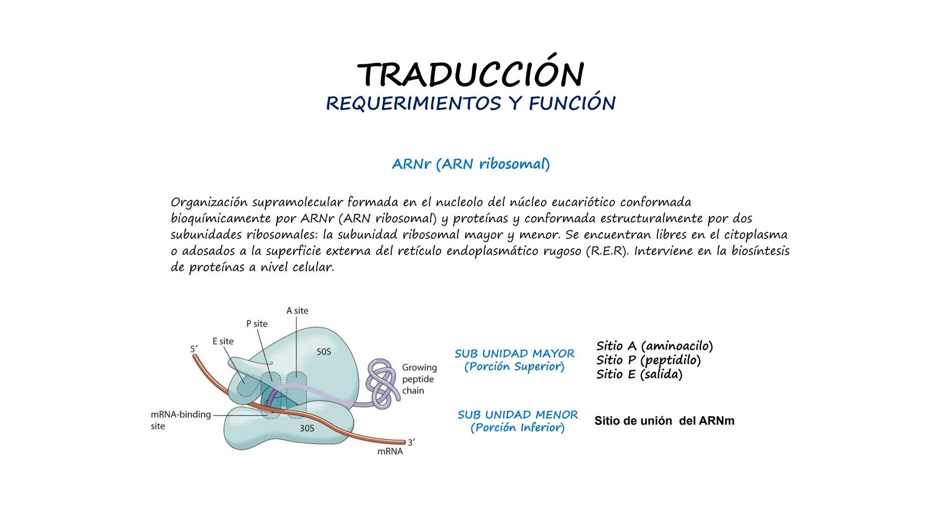 EAD
EDUCACIÓN ADVENTISTA A DISTANCIA
UNIVERSIDAD
PERUANA
UNIÓN

ESCUELA DE ENFERMERÍA

BIOLOGÍA
Y BIOQUÍMICA

UNIDAD 2: Genética molecular
S