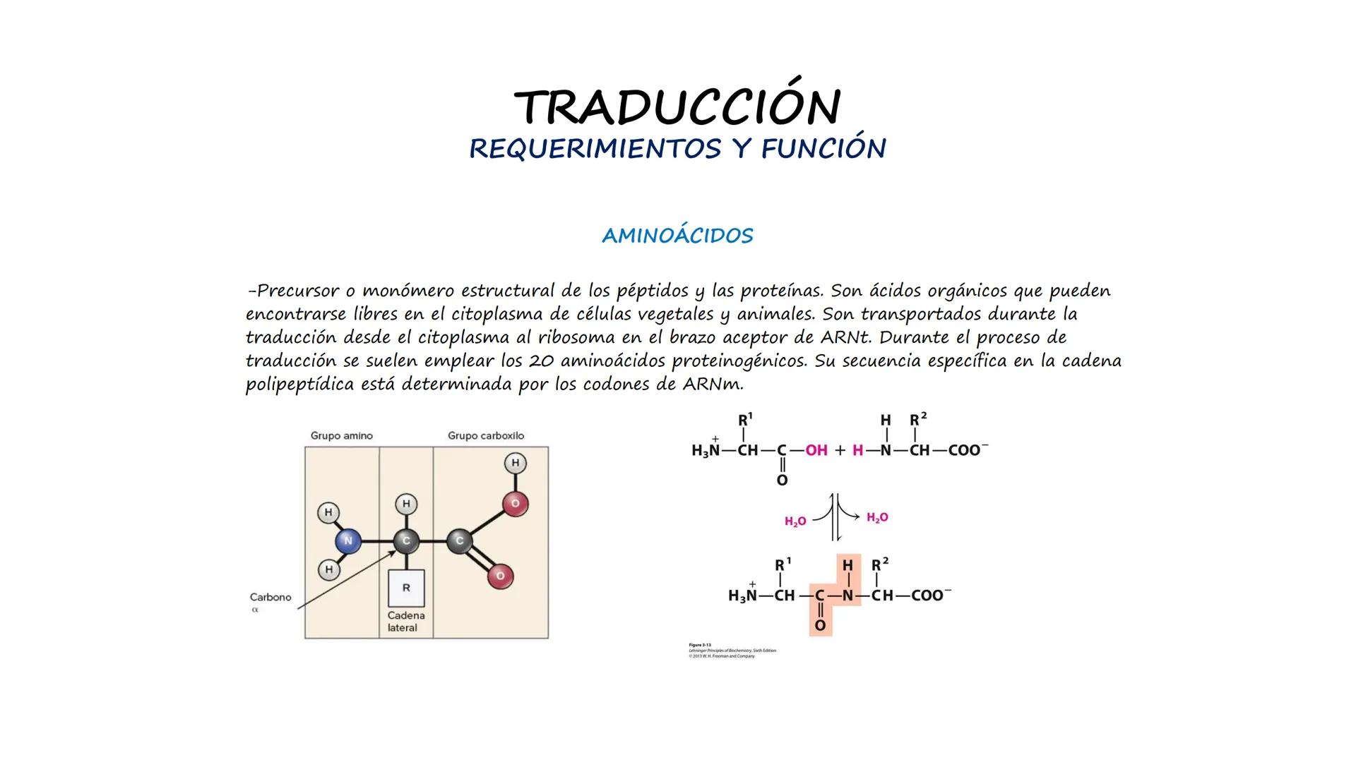 EAD
EDUCACIÓN ADVENTISTA A DISTANCIA
UNIVERSIDAD
PERUANA
UNIÓN

ESCUELA DE ENFERMERÍA

BIOLOGÍA
Y BIOQUÍMICA

UNIDAD 2: Genética molecular
S