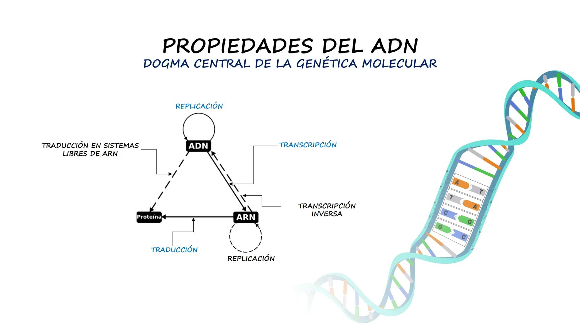 EAD
EDUCACIÓN ADVENTISTA A DISTANCIA
UNIVERSIDAD
PERUANA
UNIÓN

ESCUELA DE ENFERMERÍA

BIOLOGÍA
Y BIOQUÍMICA

UNIDAD 2: Genética molecular
S