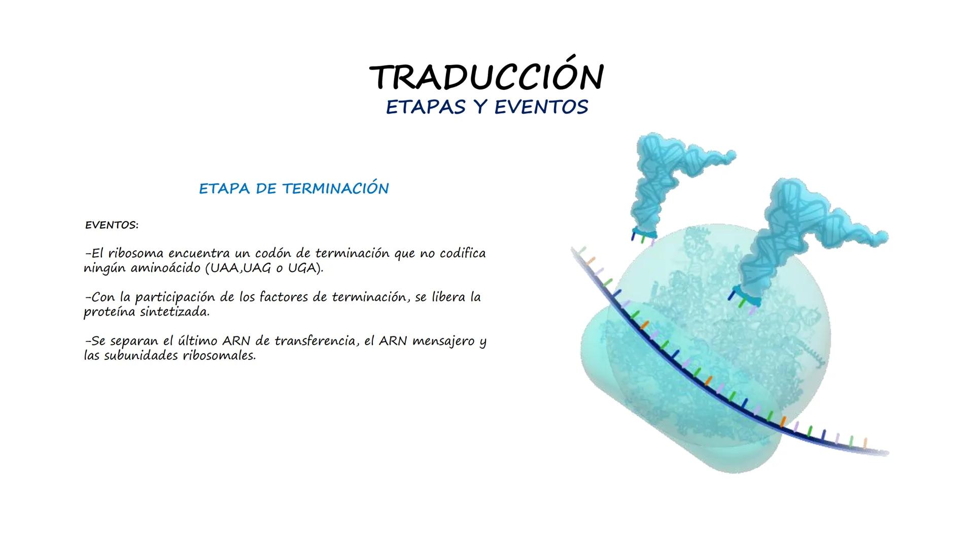 EAD
EDUCACIÓN ADVENTISTA A DISTANCIA
UNIVERSIDAD
PERUANA
UNIÓN

ESCUELA DE ENFERMERÍA

BIOLOGÍA
Y BIOQUÍMICA

UNIDAD 2: Genética molecular
S