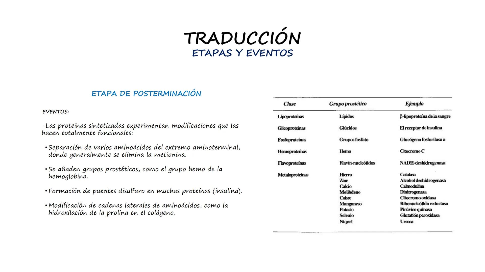 EAD
EDUCACIÓN ADVENTISTA A DISTANCIA
UNIVERSIDAD
PERUANA
UNIÓN

ESCUELA DE ENFERMERÍA

BIOLOGÍA
Y BIOQUÍMICA

UNIDAD 2: Genética molecular
S
